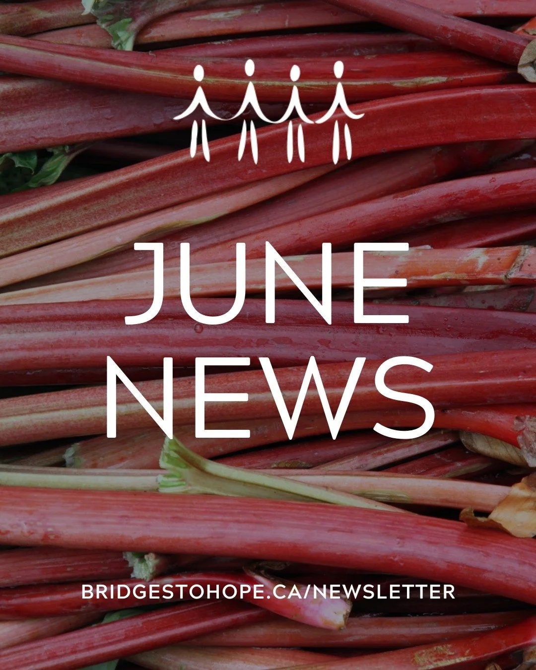 🌟🫶 Our June Newsletter is here!
 
Take a few minutes to catch up on what's been happening at Bridges to Hope and the impact we're making together in our community.
 
In this month's issue:
 
💙 Your Impact in May 2026
📊 Poverty Report Cards 2026
?