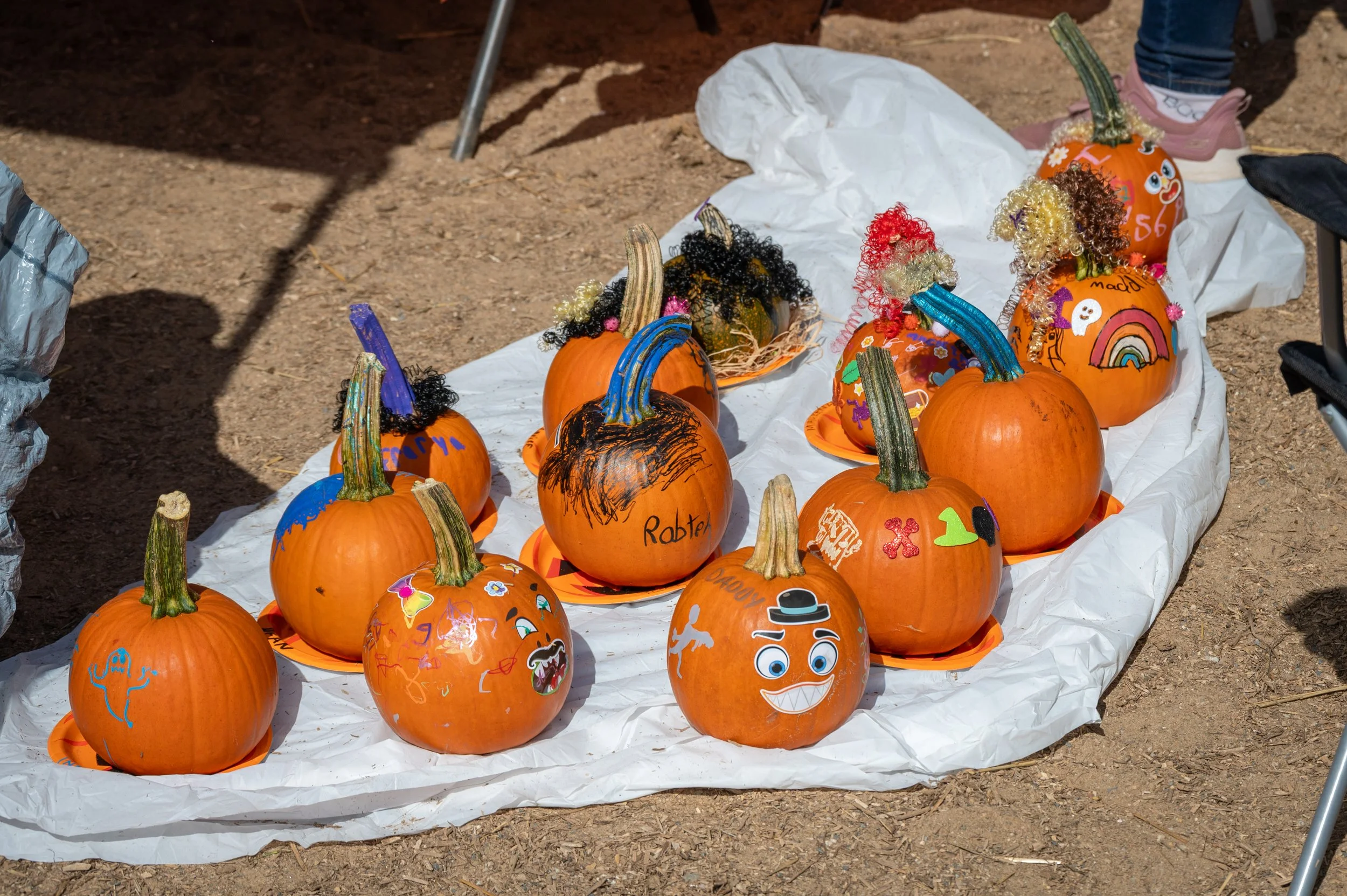 SHEW Fundraiser-17.jpg