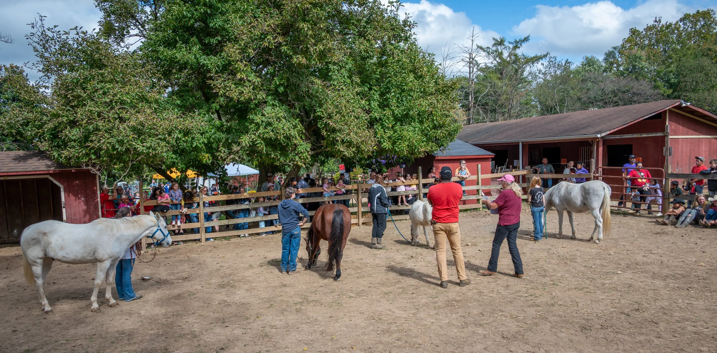 SHEW Fundraiser-42.jpg