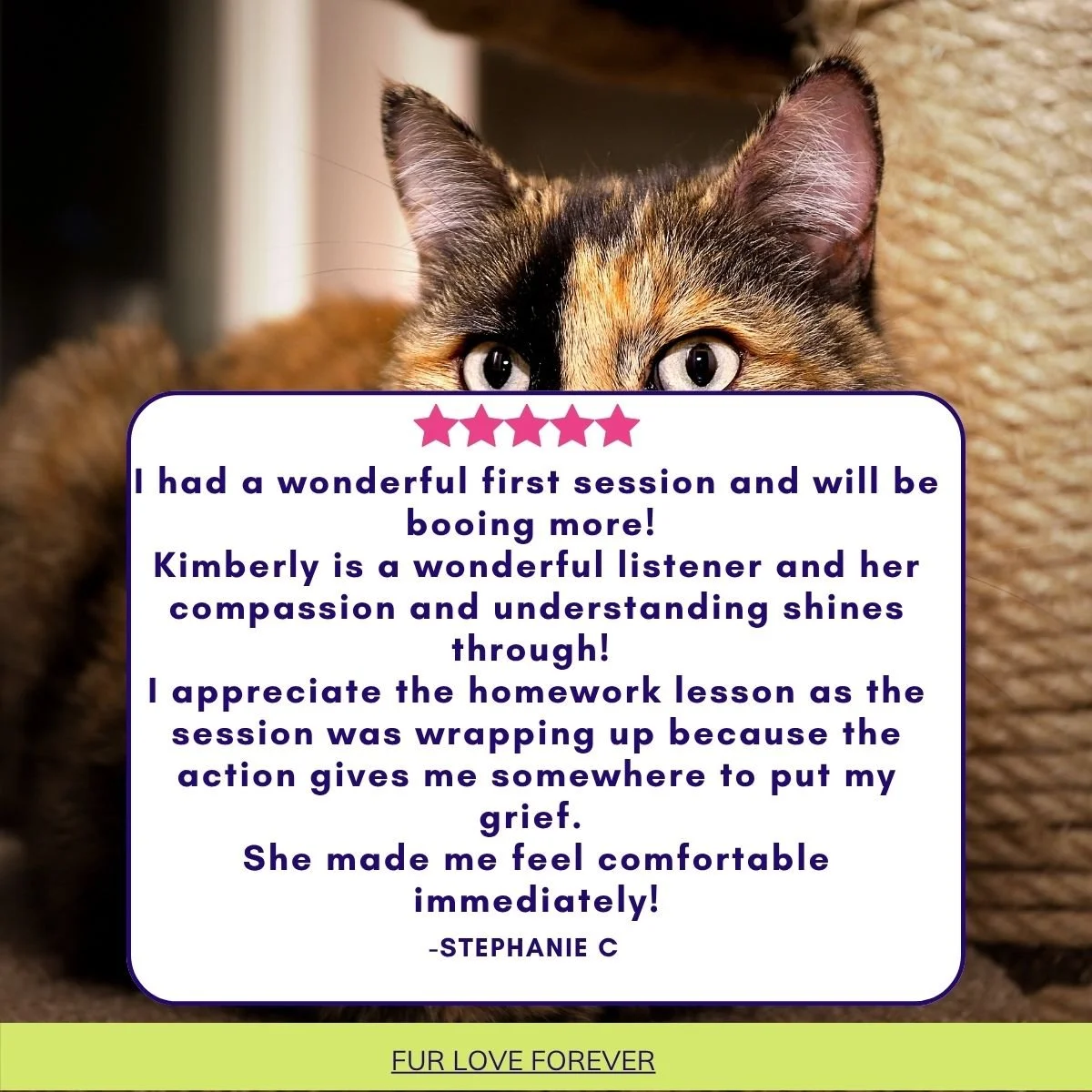 Pet Loss Support Review