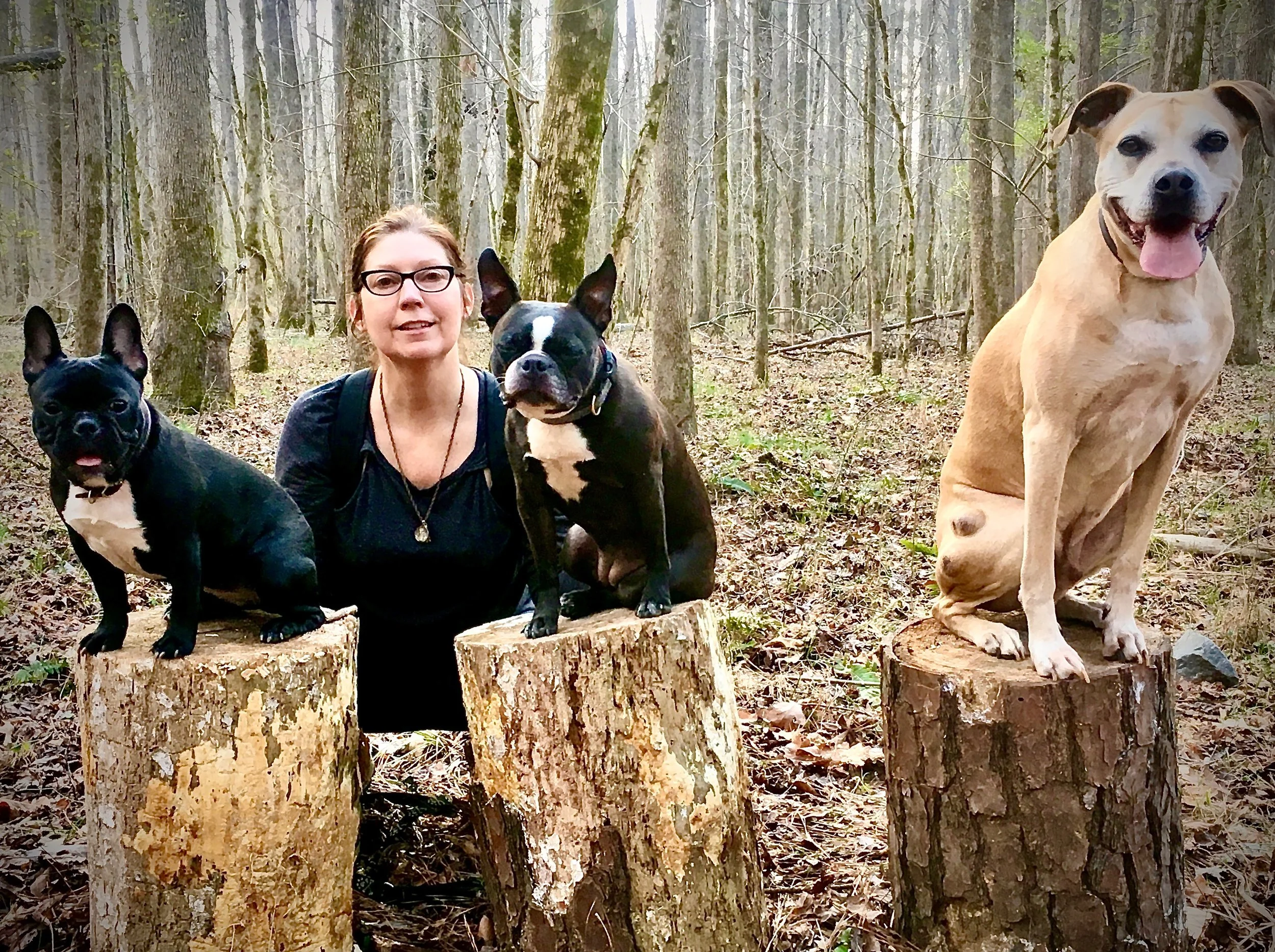 Dogs that left footprints on my heart