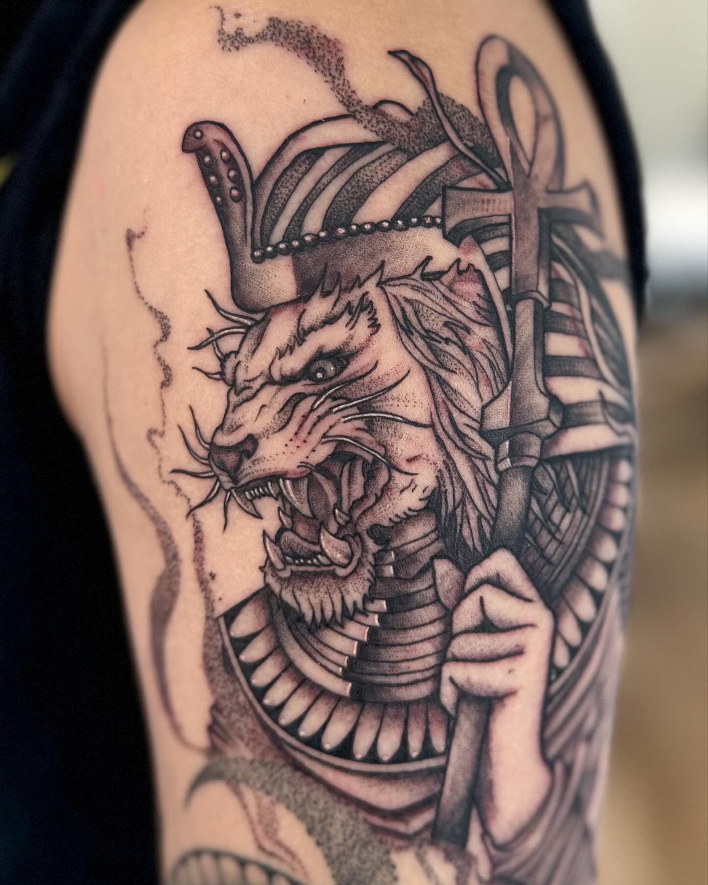 🦁 for Tray. Thanks again!

#egyptiantattoo #liontattoo #tattooart #tattooartist #blackwork #blackink #savannahtattoo #lionart