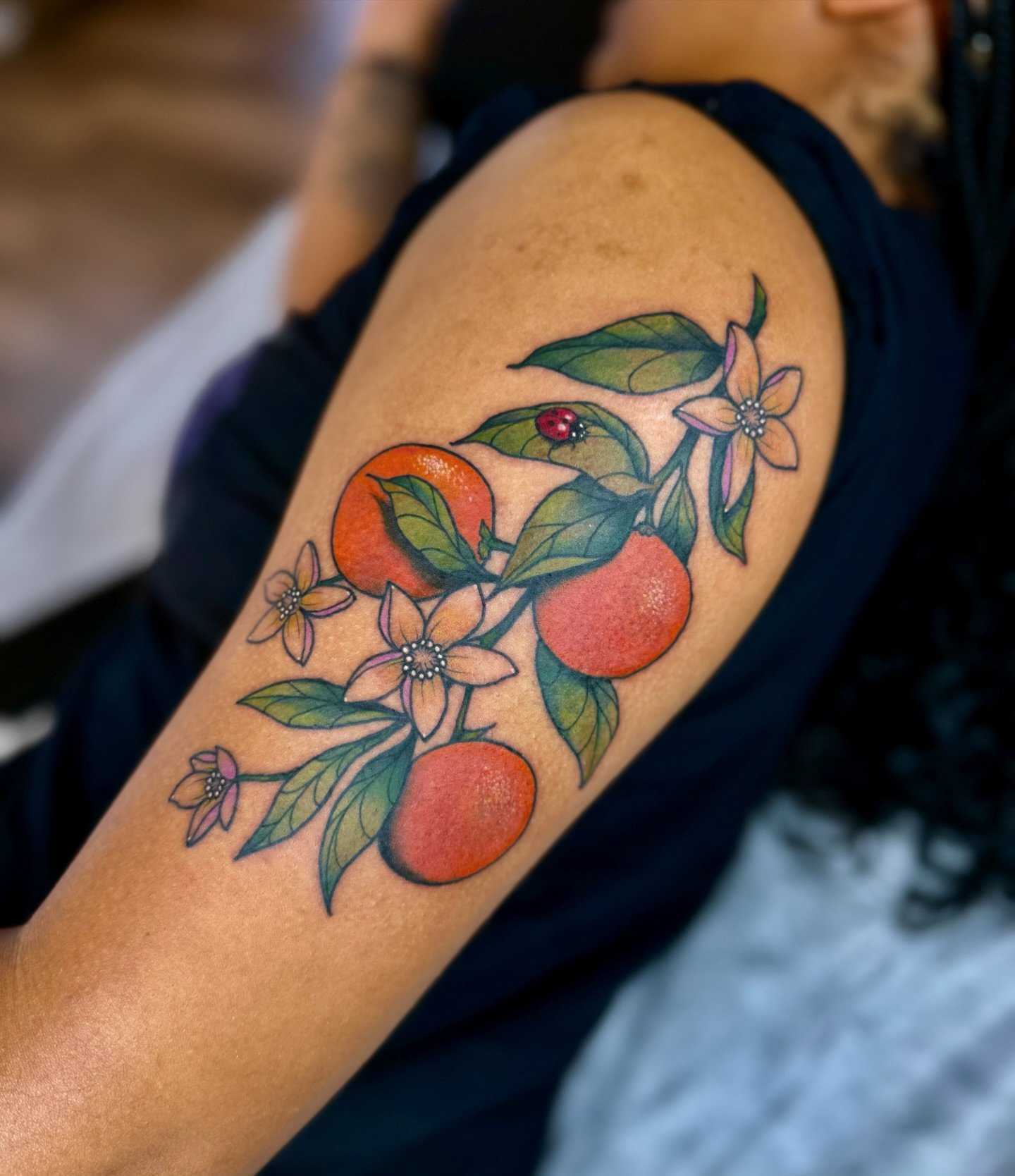 clementines for Nadia 🍊 

#clementine #fruittattoo #tattooart #neotrad #neotradsub #oranges #orangetattoo #savannahtattoo #savannahgeorgia #colortattoo #ladybugtattoo