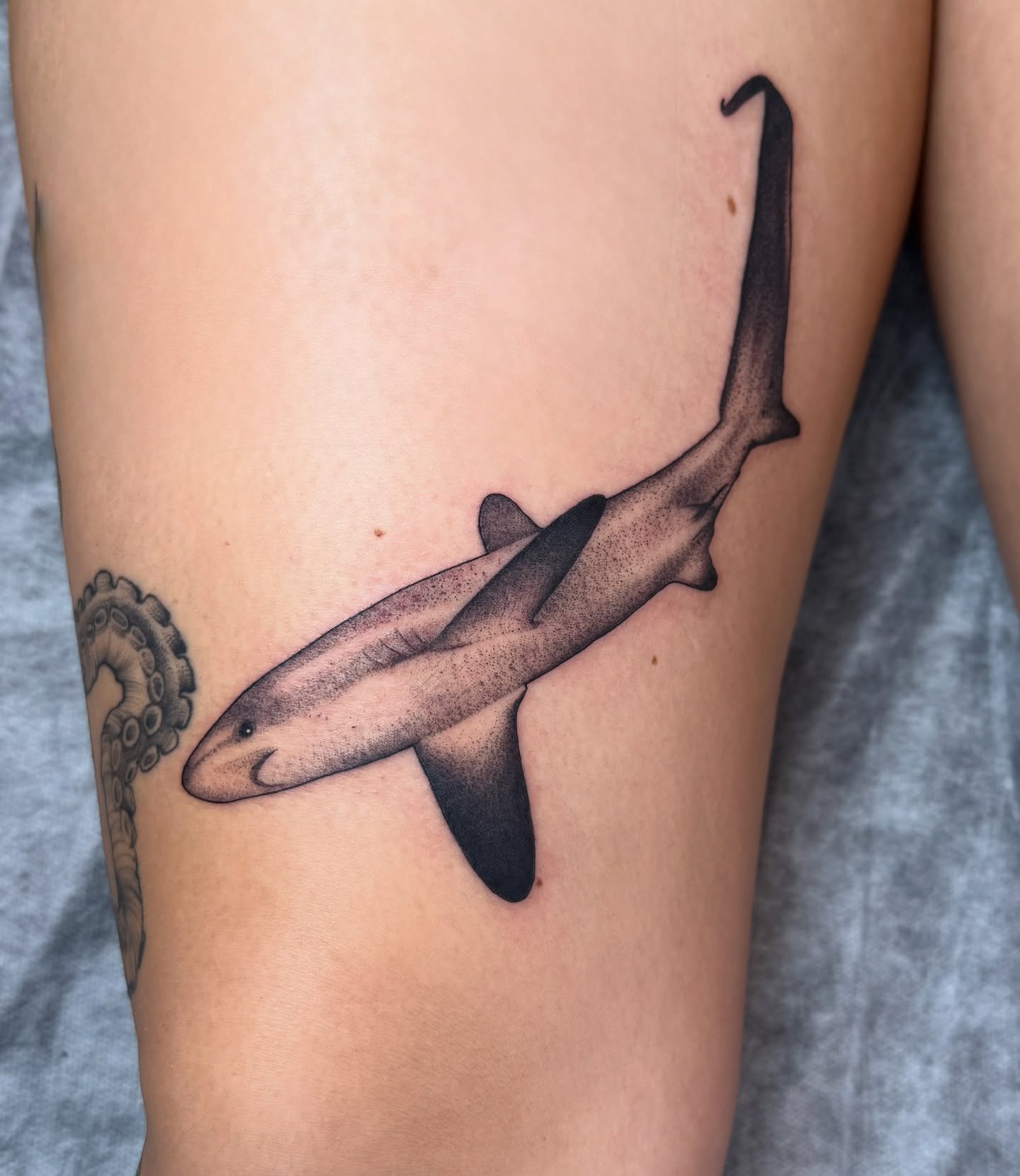 a thresher shark for Mallory

Thanks again!

#sharktattoo #threshershark #savannahtattooartist #savannahga