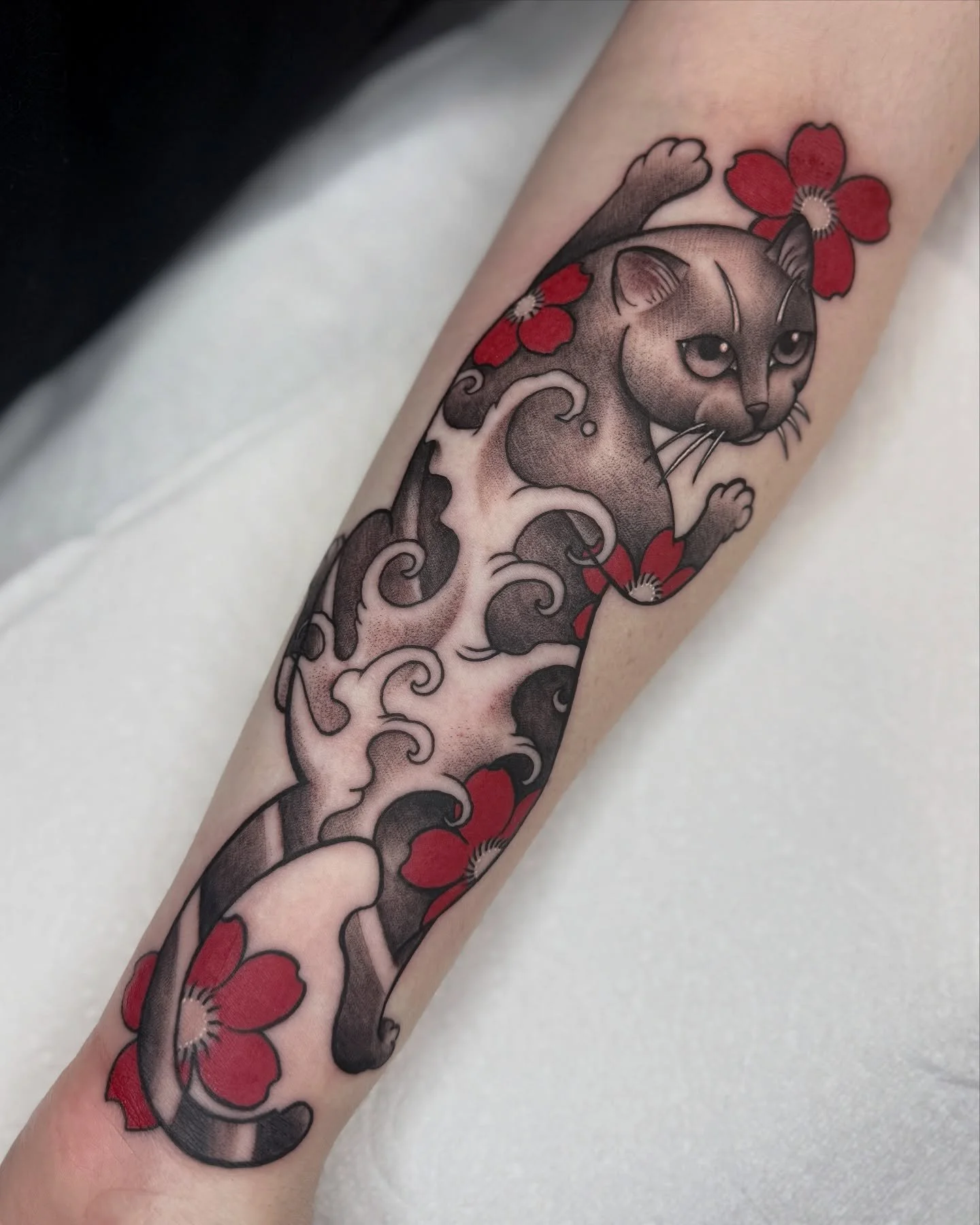 Some photos of this wave cat from yesterday

Thanks Anya!