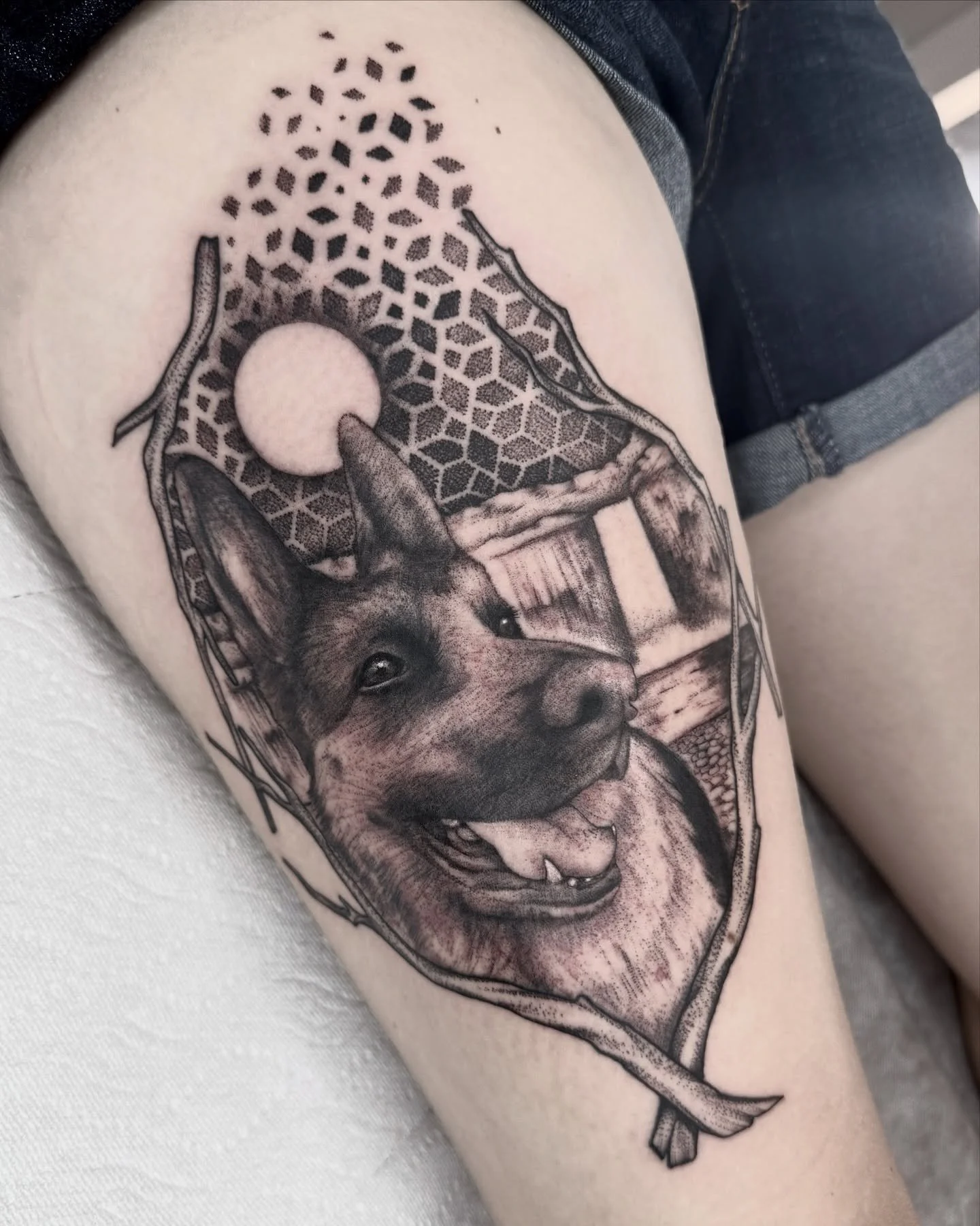This is Grizz, the pup with the rizz 🐕 

Thanks for making the trip from Oregon, Ashley!
.
.
.
#puptattoo #pettattoo #germanshepherdtattoo #germanshepherdlover #dogtattoos #savannahga #savannahtattooartist