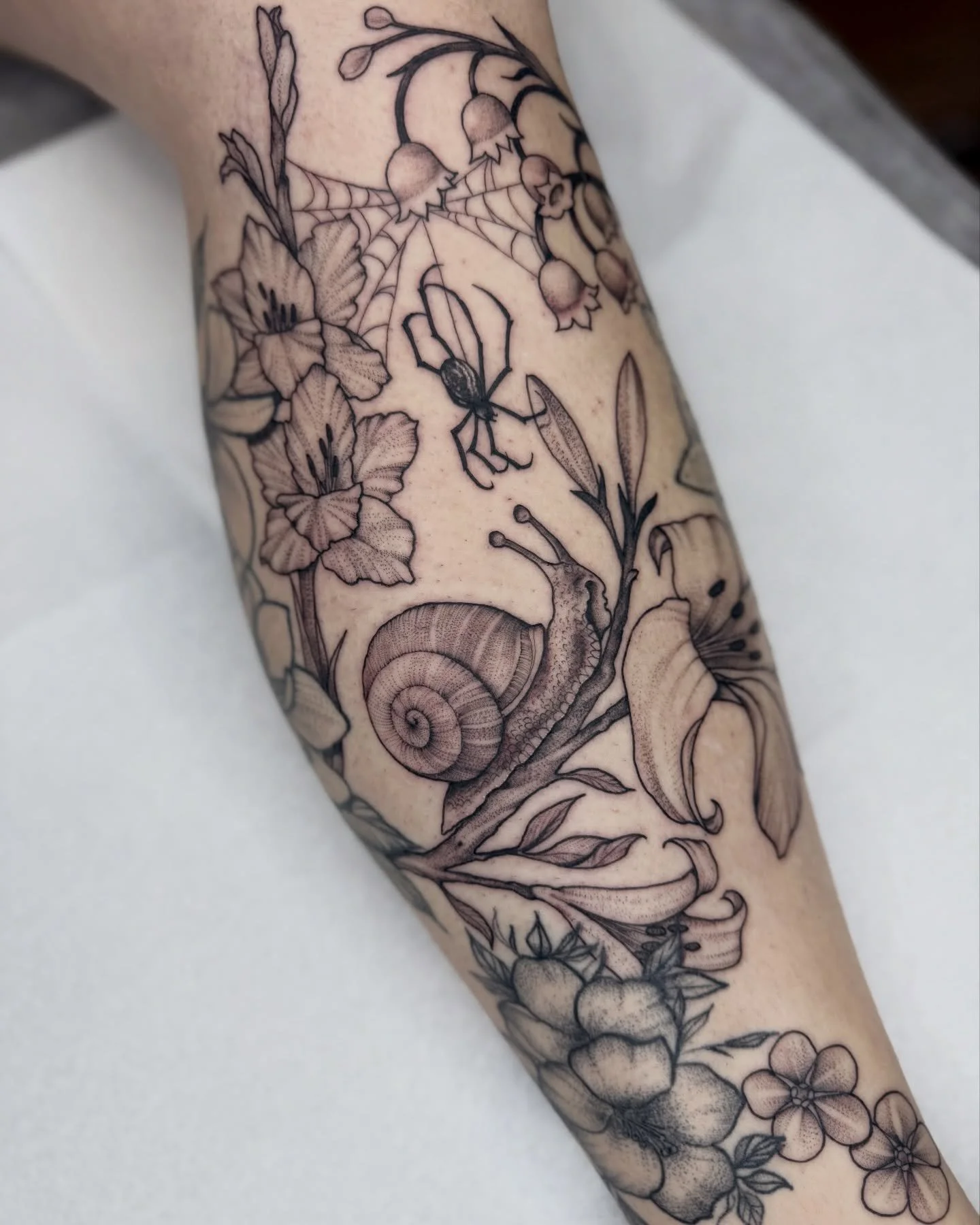 Books are open for 2026 ✨ 

Freehand snail and spider gap filler. Swipe to see the drawing.. Thanks again for another great year everyone!