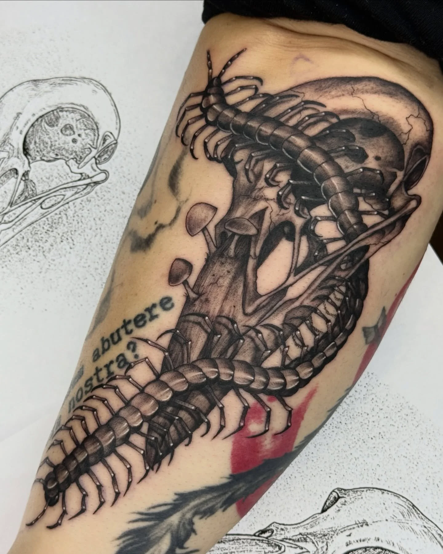 Raven skull with a freehand centipede winding through it. Thanks again, Jennifer!