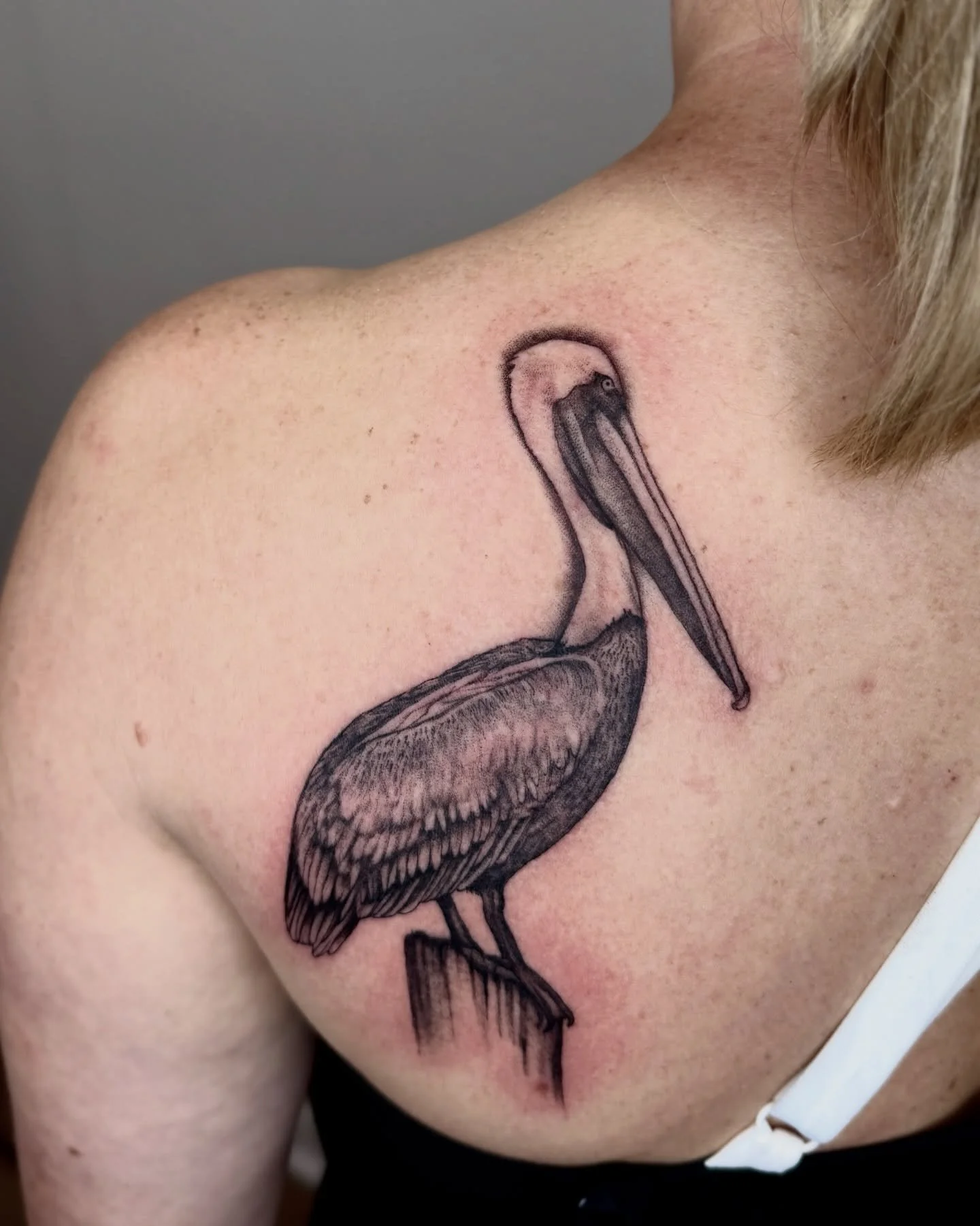 A pelican for Keri&rsquo;s first tattoo. 

It&rsquo;s always fun to make some black and gray realism and always an honor to make someone&rsquo;s first. Thanks again! 

Now booking May + June &mdash; Savannah, GA
