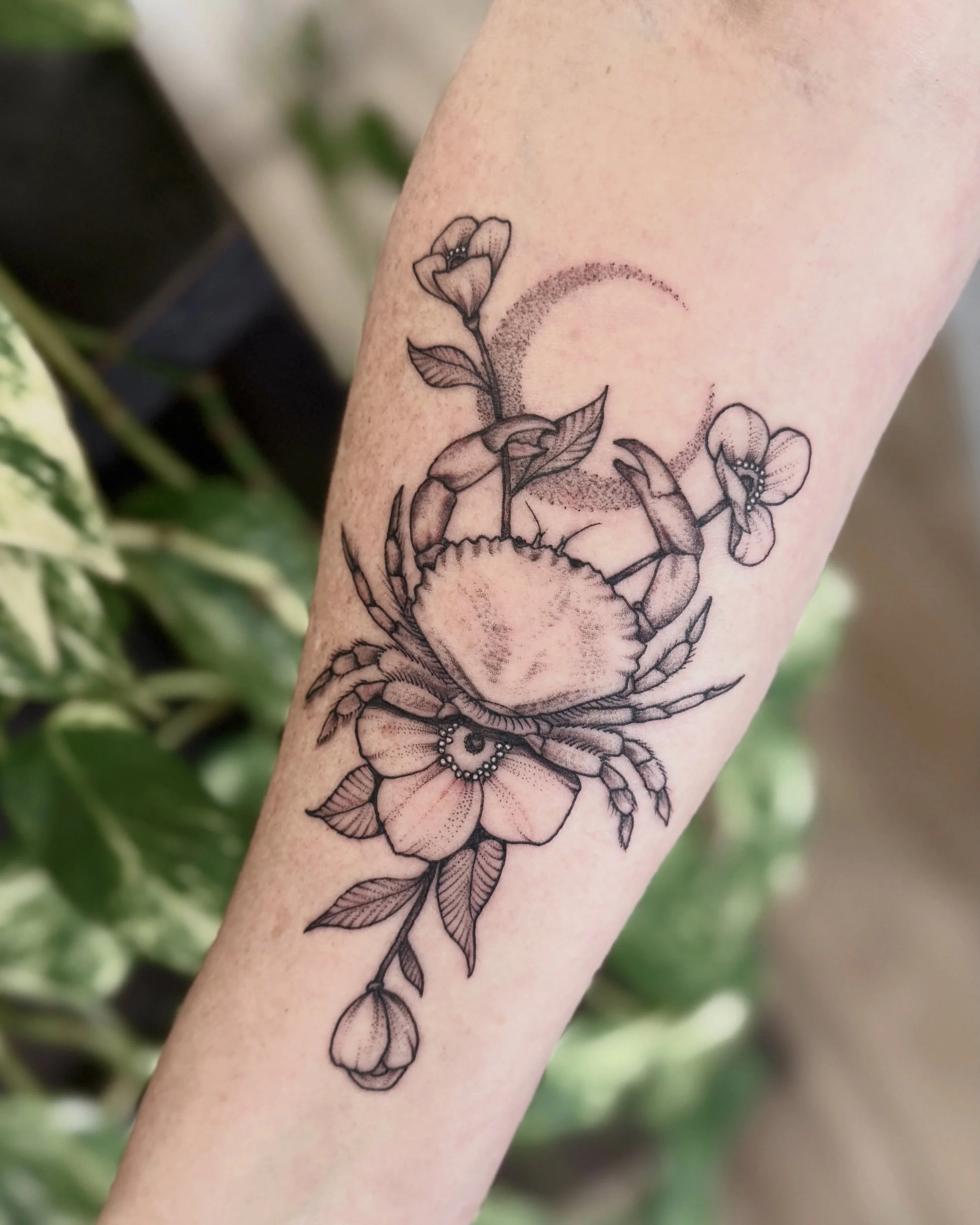 The cancer constellation but make it floral

Can&rsquo;t go wrong with celestial stuff and flowers. Thanks again Lesley!

#savannahtattoo #savannahtattooartist #georgiatattooartist #finelinetattoos #constellationtattoo