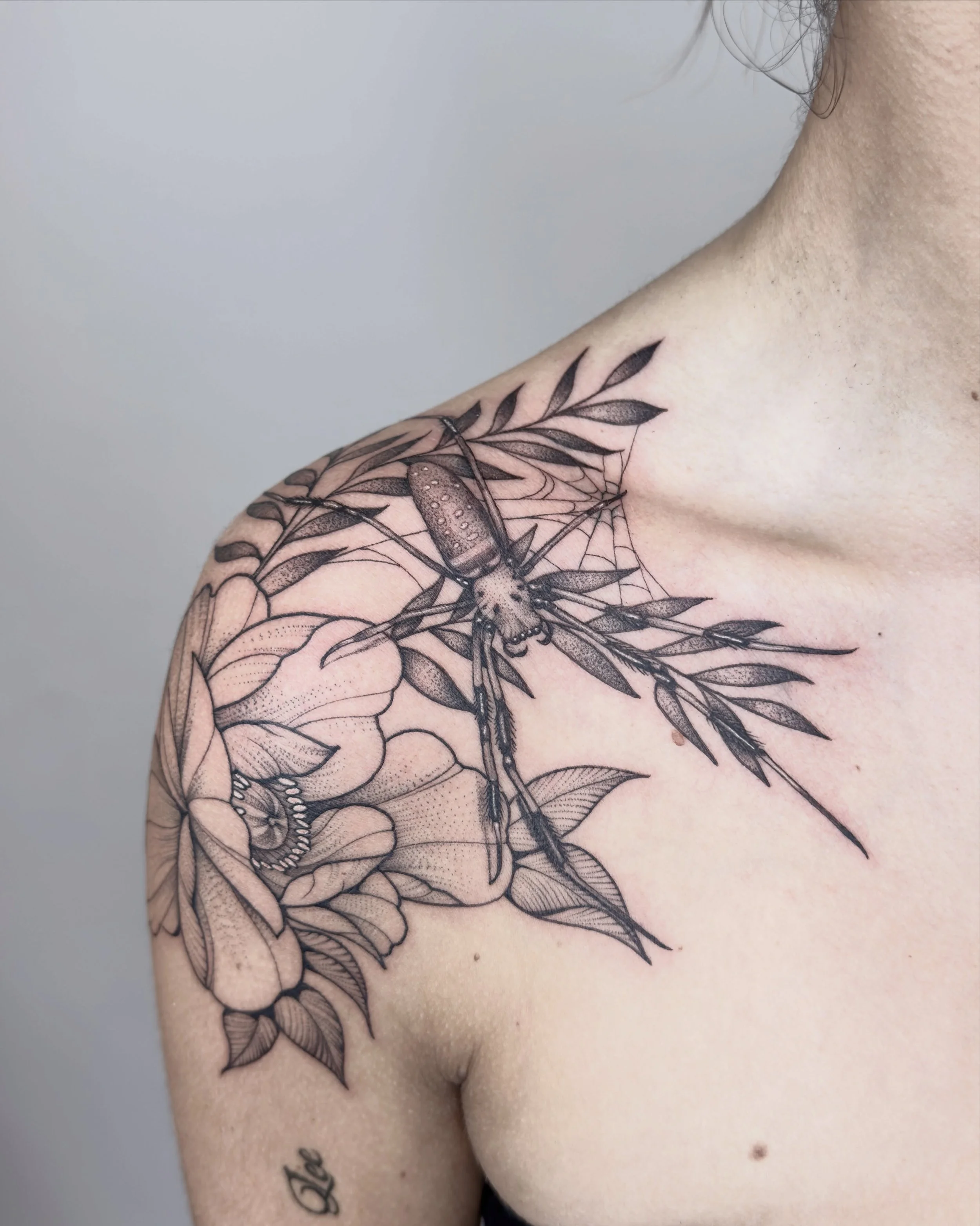 Banana spider and some free hand to cap the shoulder

#savannahtattoo #savannahtattooartist #georgiatattooartist