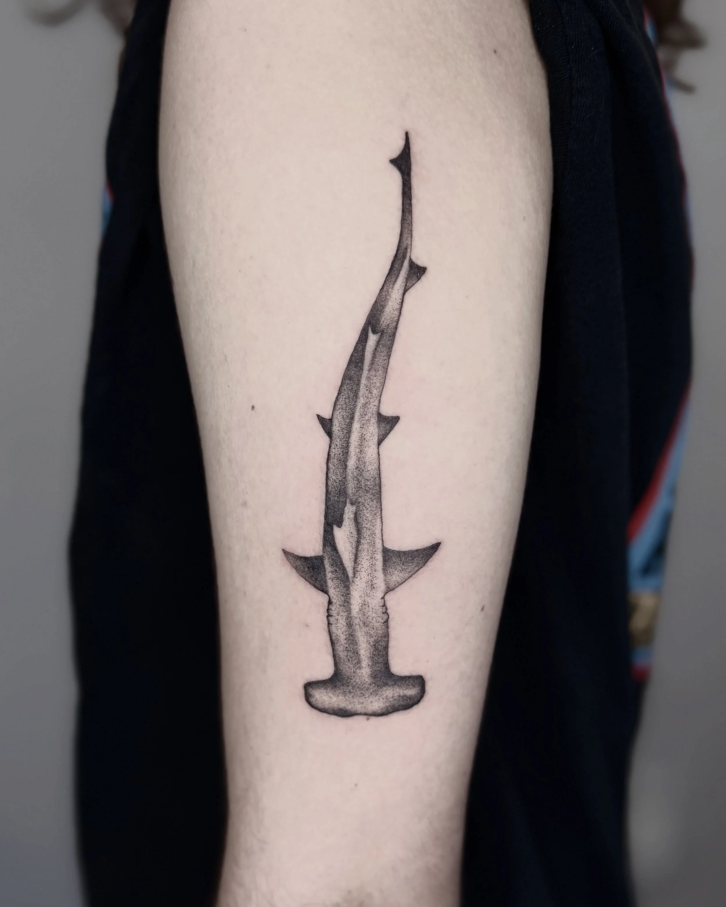 Got hammered with Evan for his first tattoo

#hammerheadshark #sharktattoo #firsttattoo #savannahtattooartist #tybeeisland