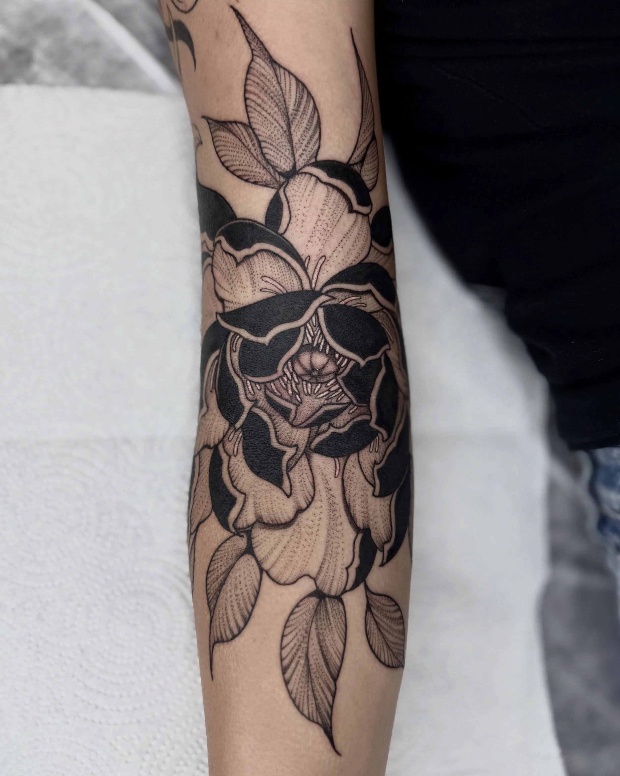 Peony in the ditch for Shea. Swipe for process ✍️ 

Thanks again! 

I have a few days left in September, the fourth just opened up then the 14th and 22nd through 24th let me know if I can make you something cool