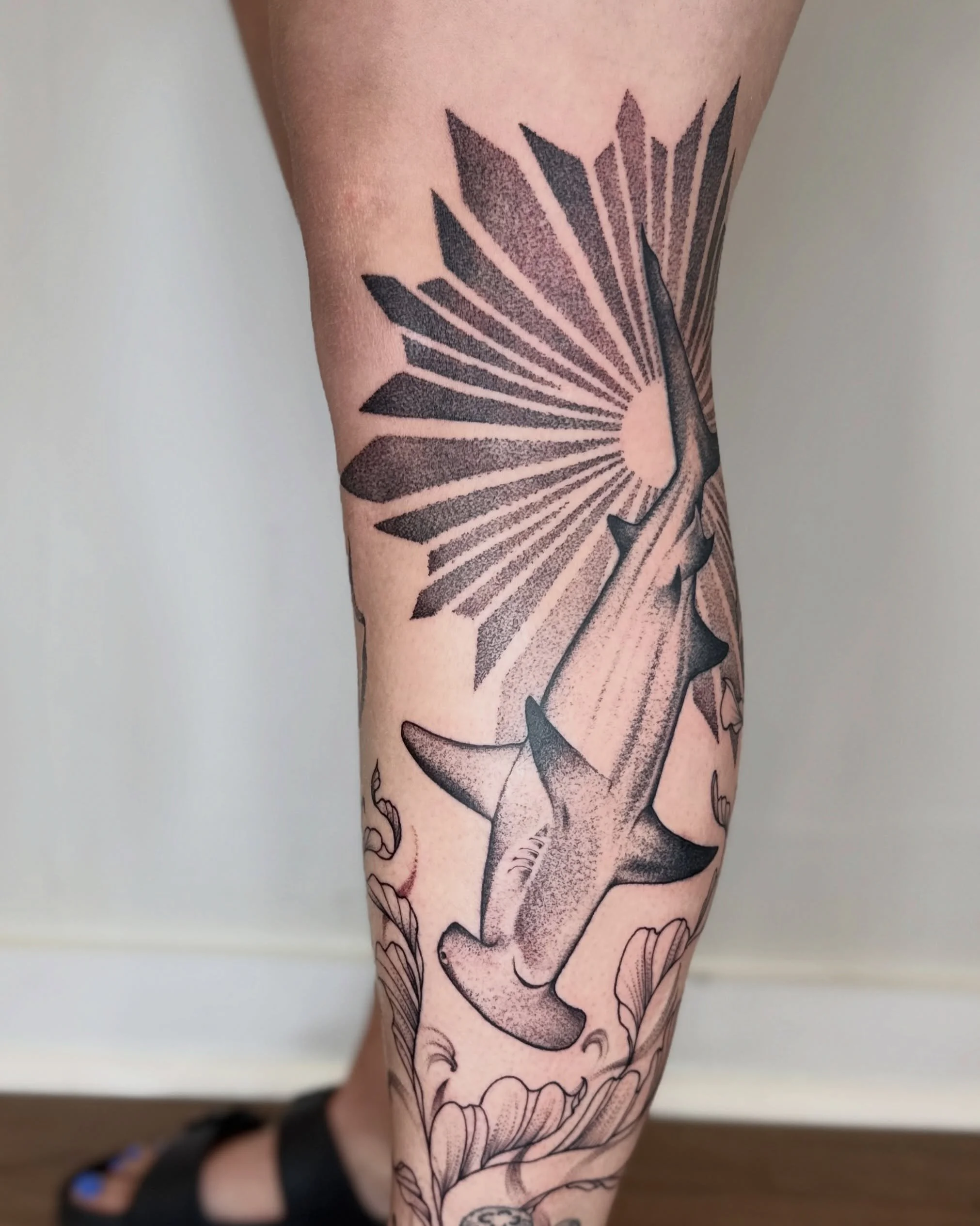 hammerhead, dots , and some kelp stuff headed home to Alaska

Thanks again Kayleen!