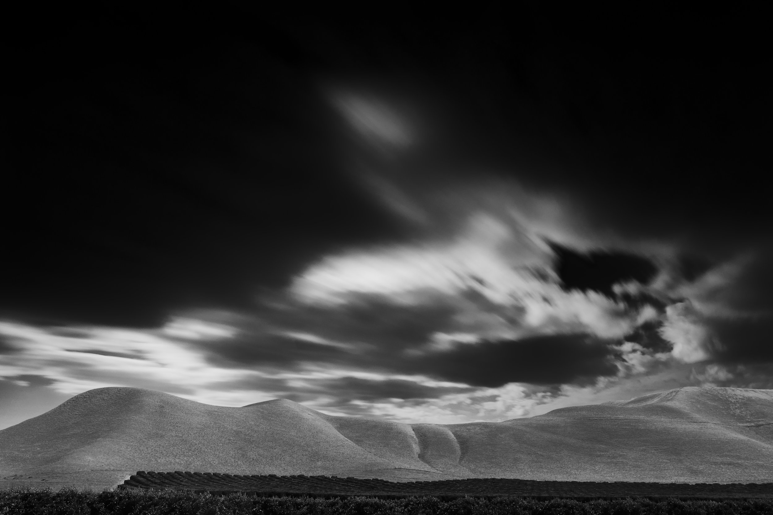 isabella landscape 2.jpg