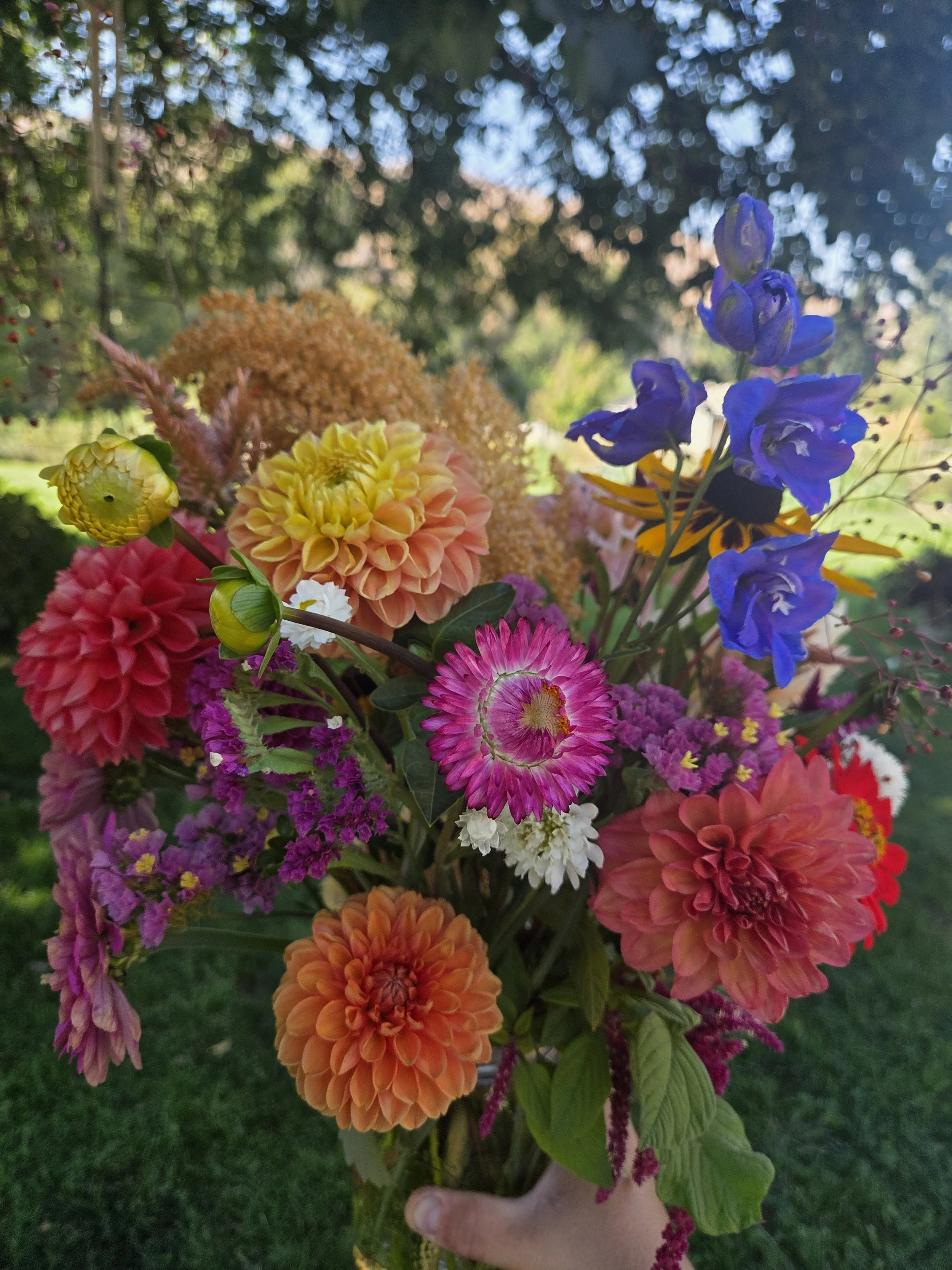 20250917_110608 (1).jpg