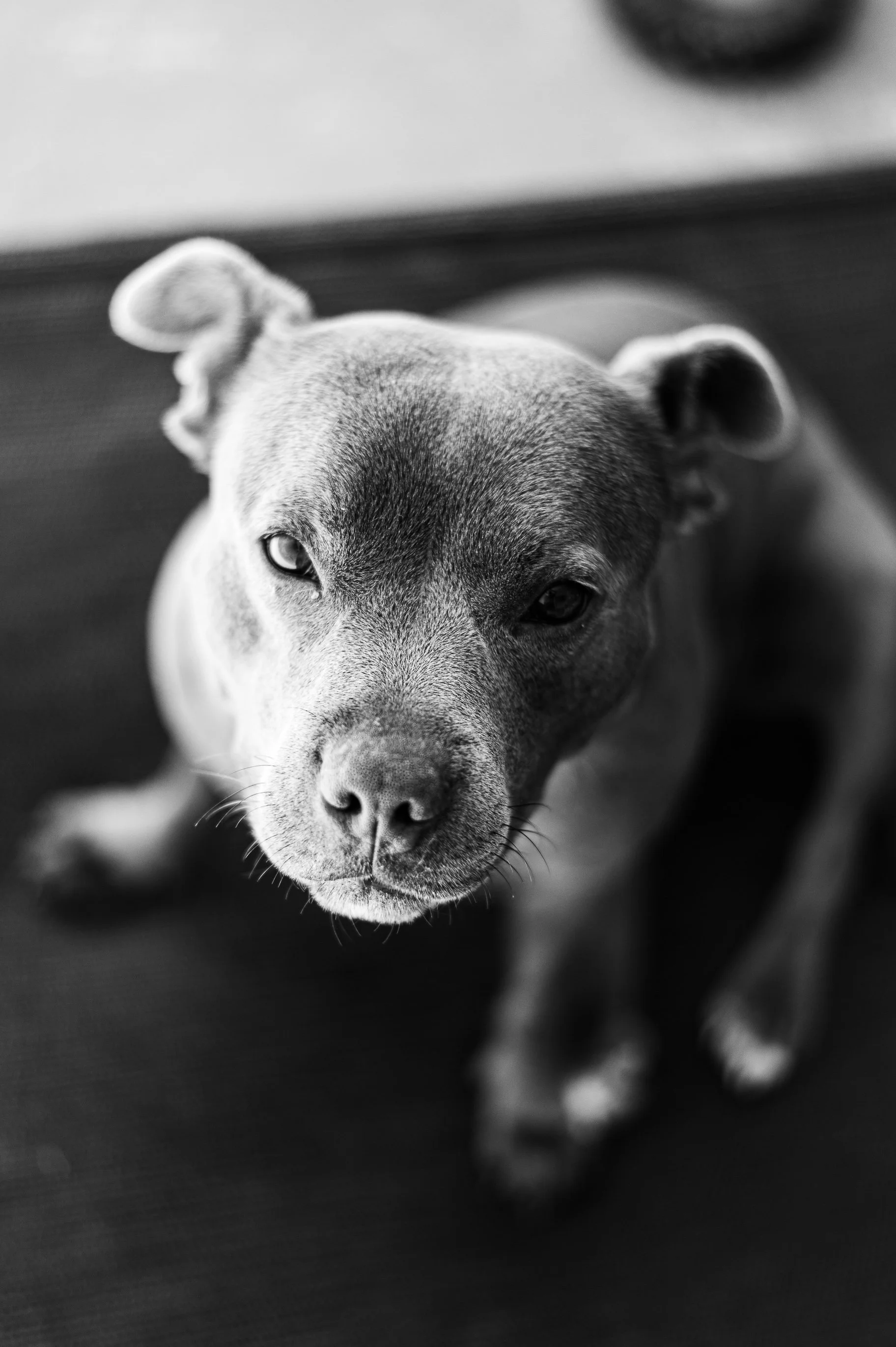 DSC_8533.jpg