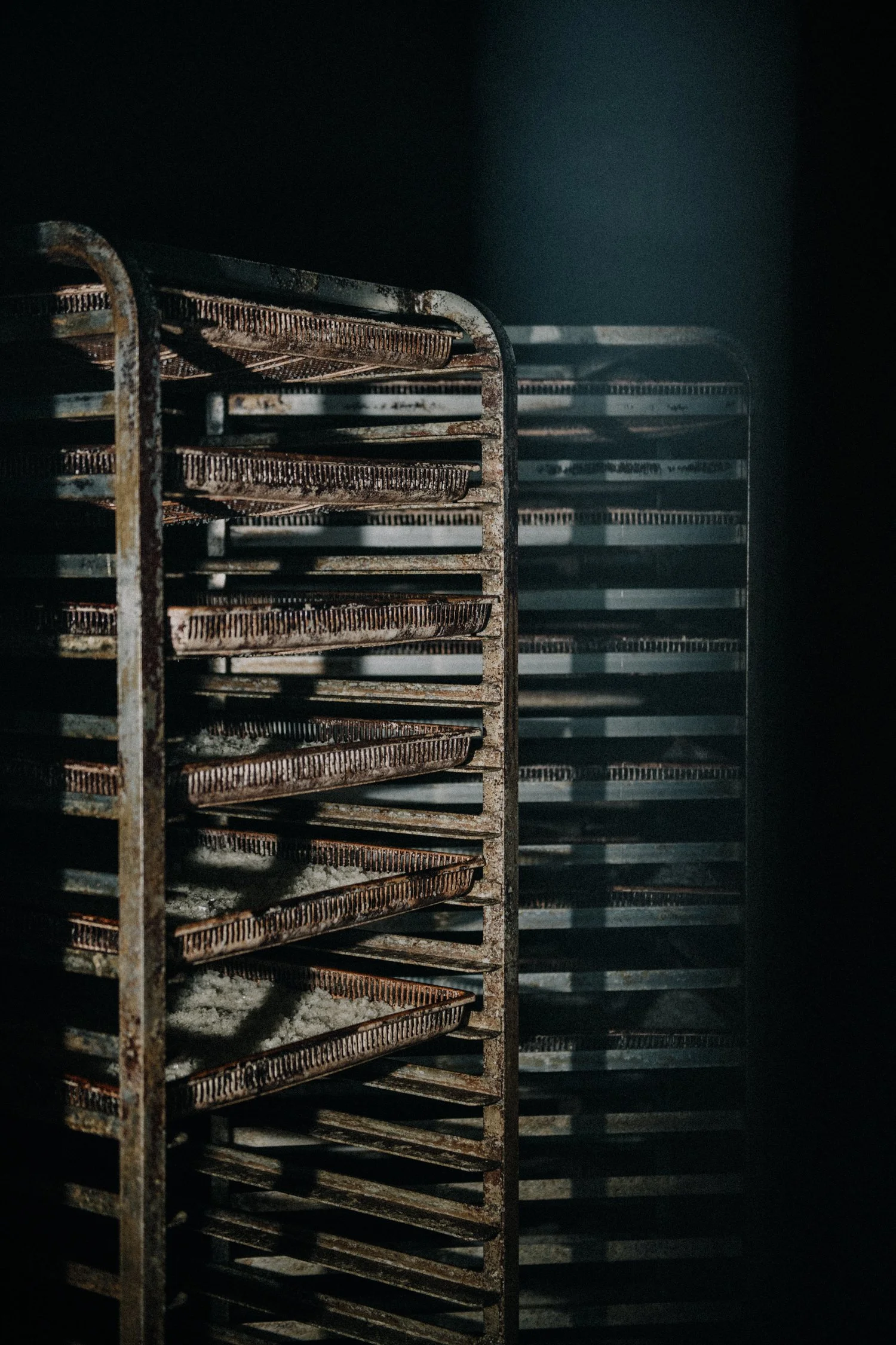 Bearface Mitlenatch-111.jpg