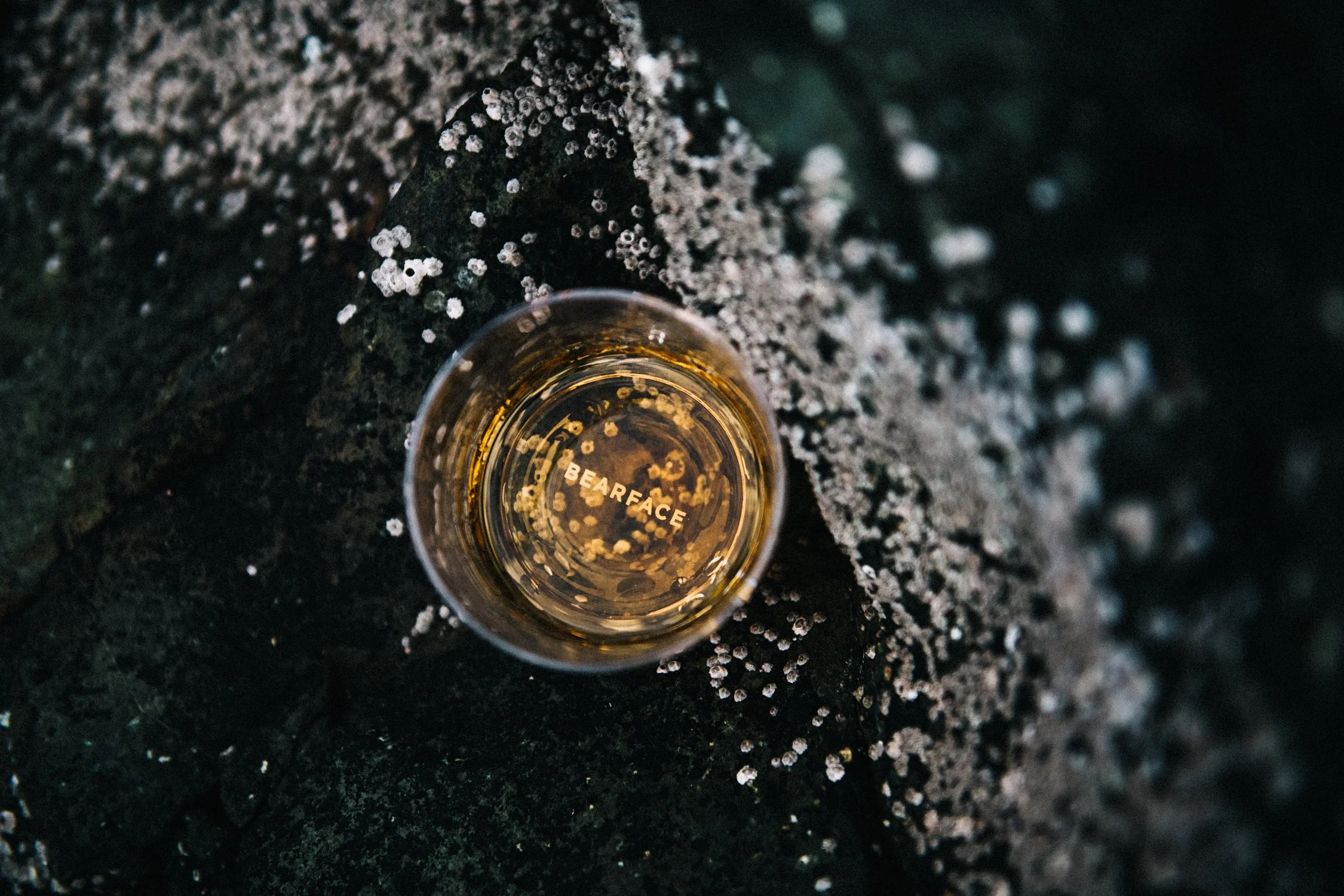 Bearface Mitlenatch-182.jpg