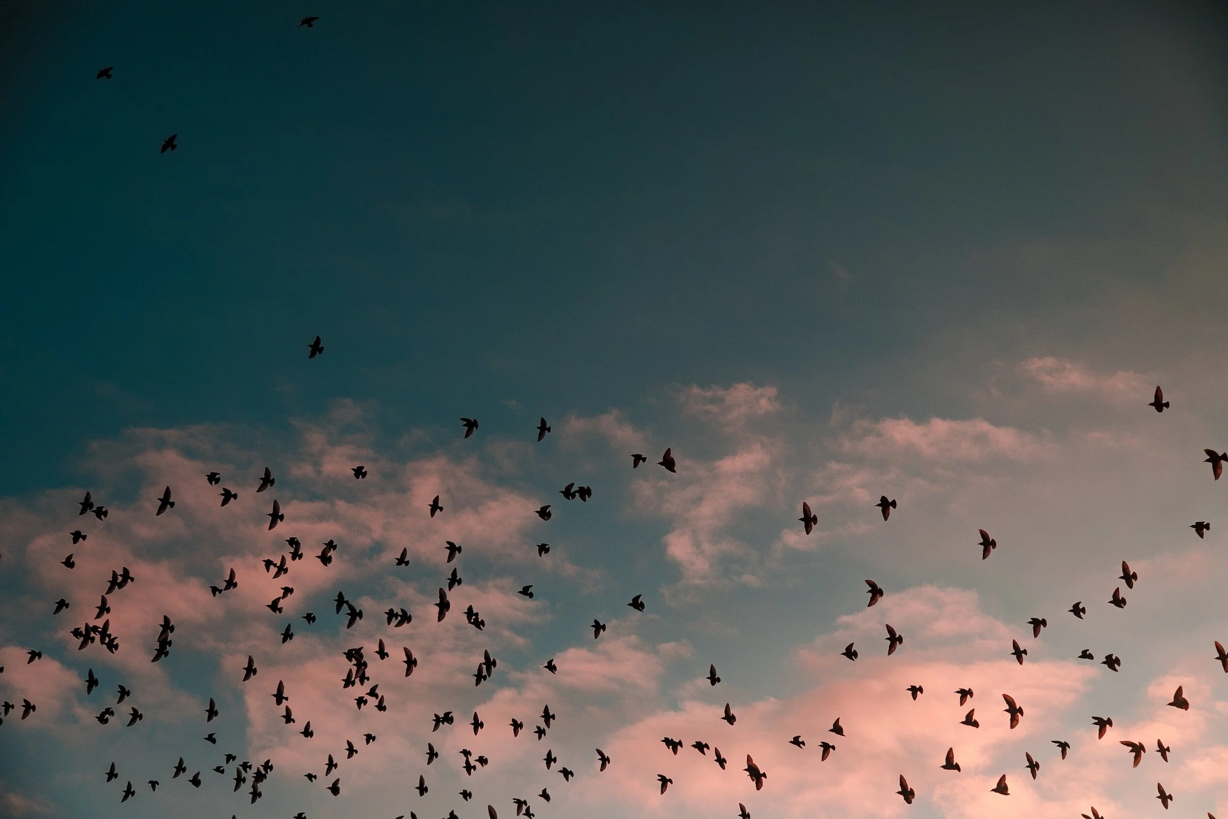 What Really Motivates People to Change?