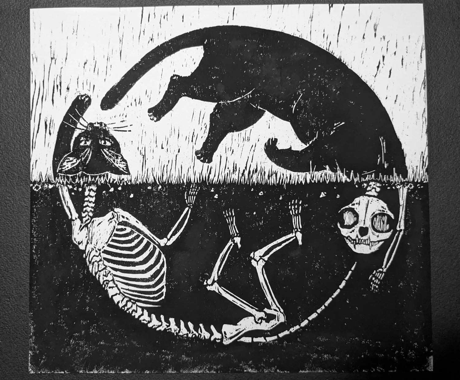 Animals in black and white【ヴィンテージ・木版画集】 Gatoboros (Woodblock Print) — Dina's Doodles