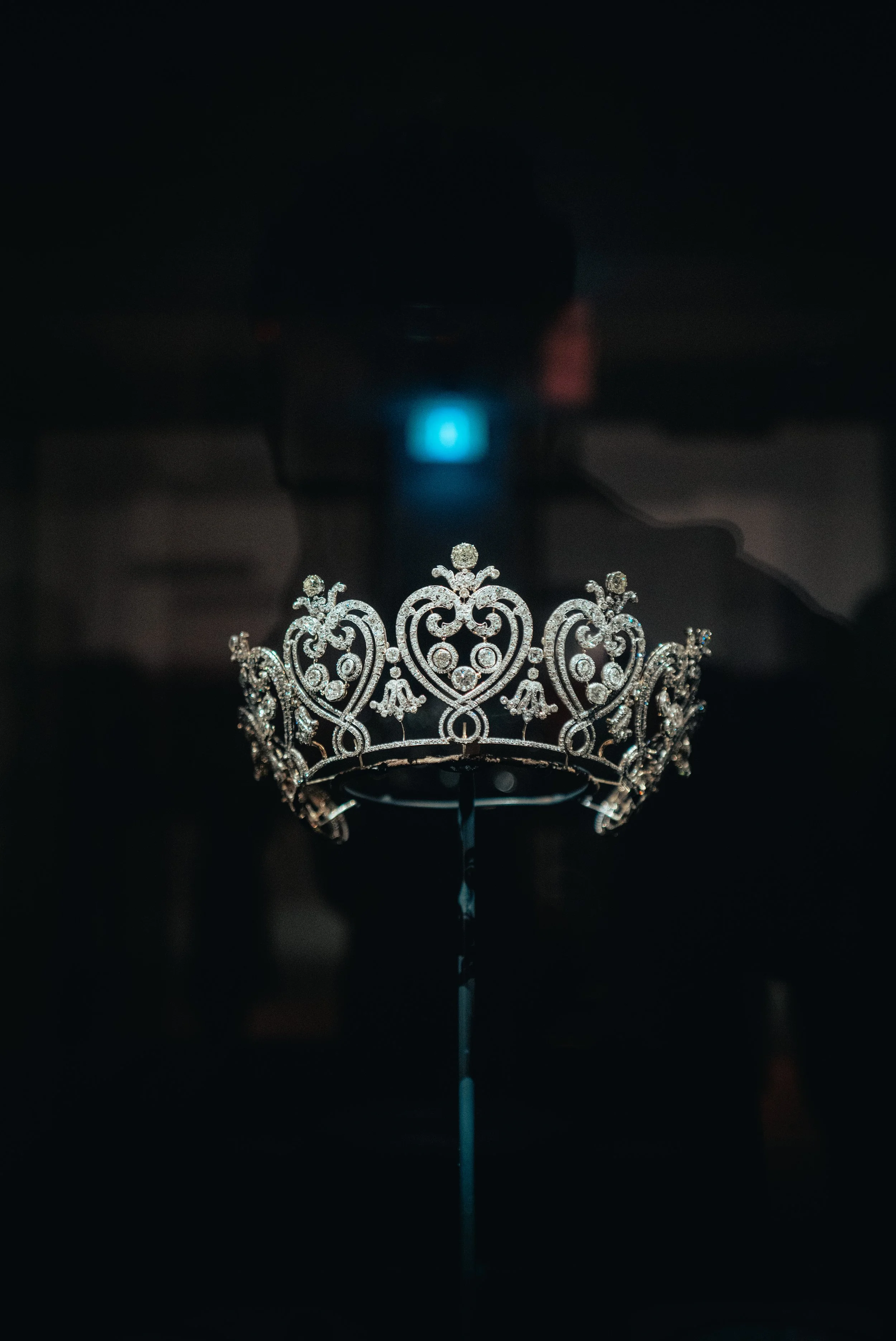 L1003215 copy.jpg