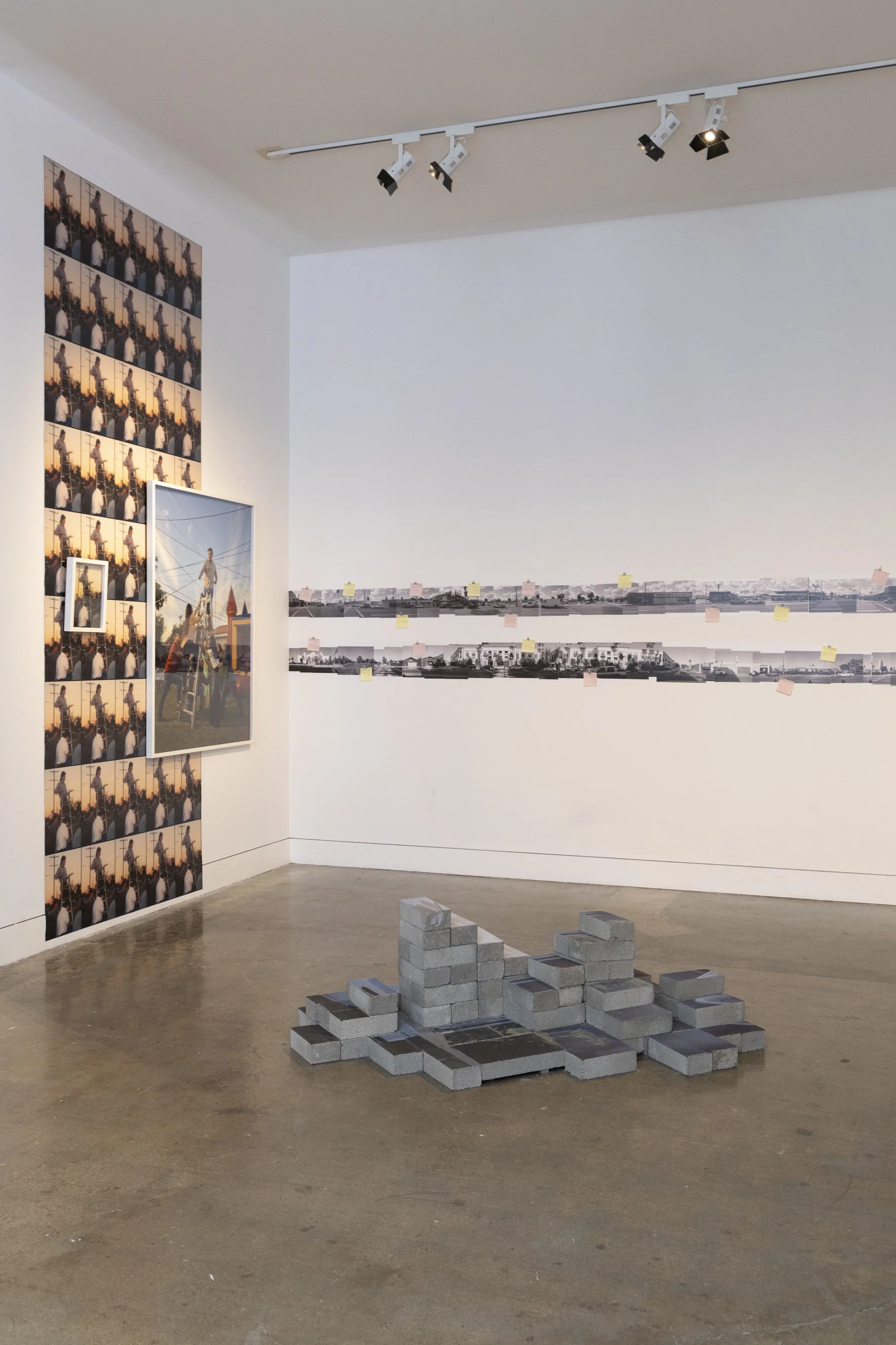 Photograph courtesy of Silke Eichholz