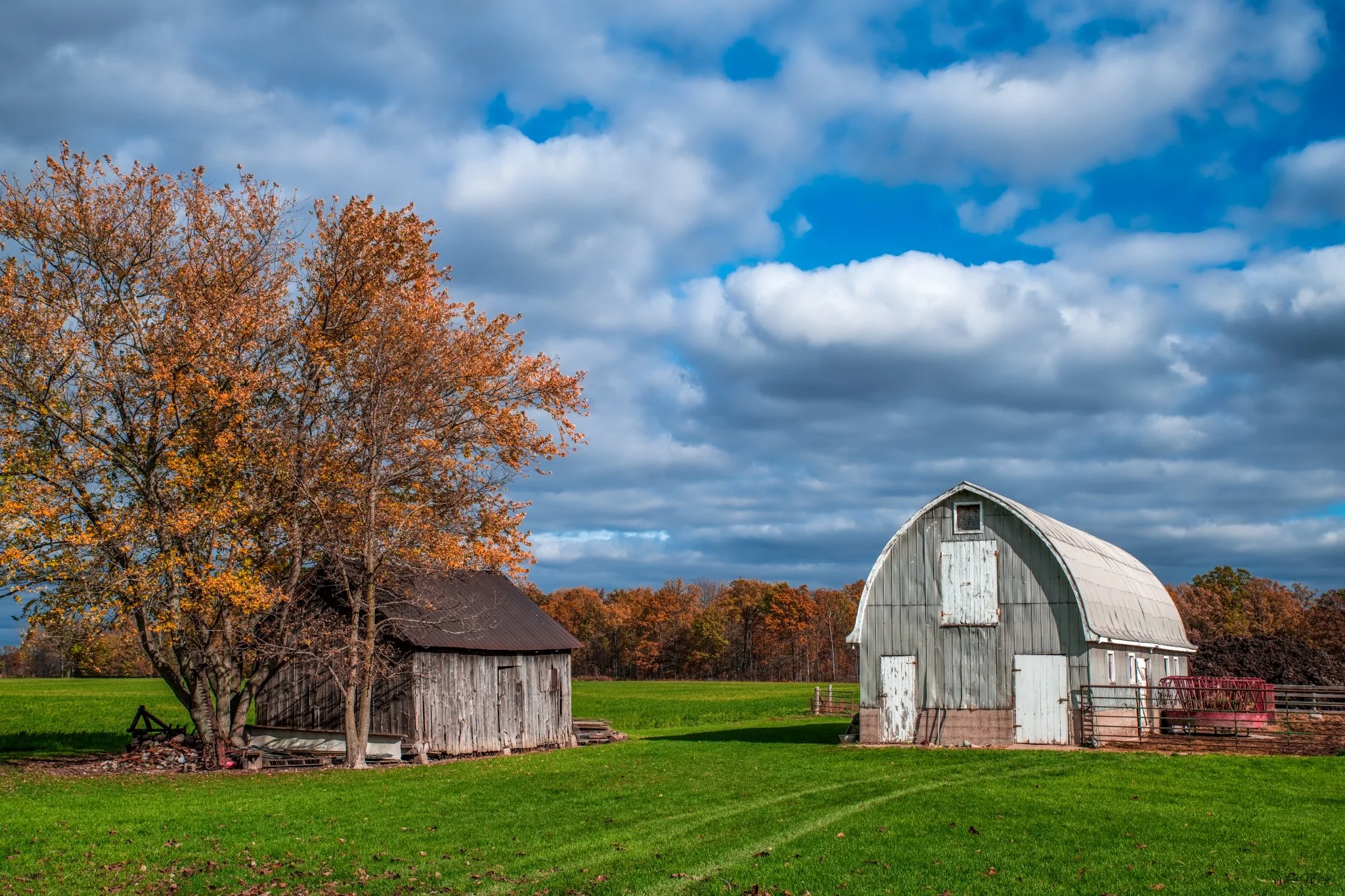 _DSC2057_Luminar-edit_1_Flickr  500px_2048x1365_U_0.jpg