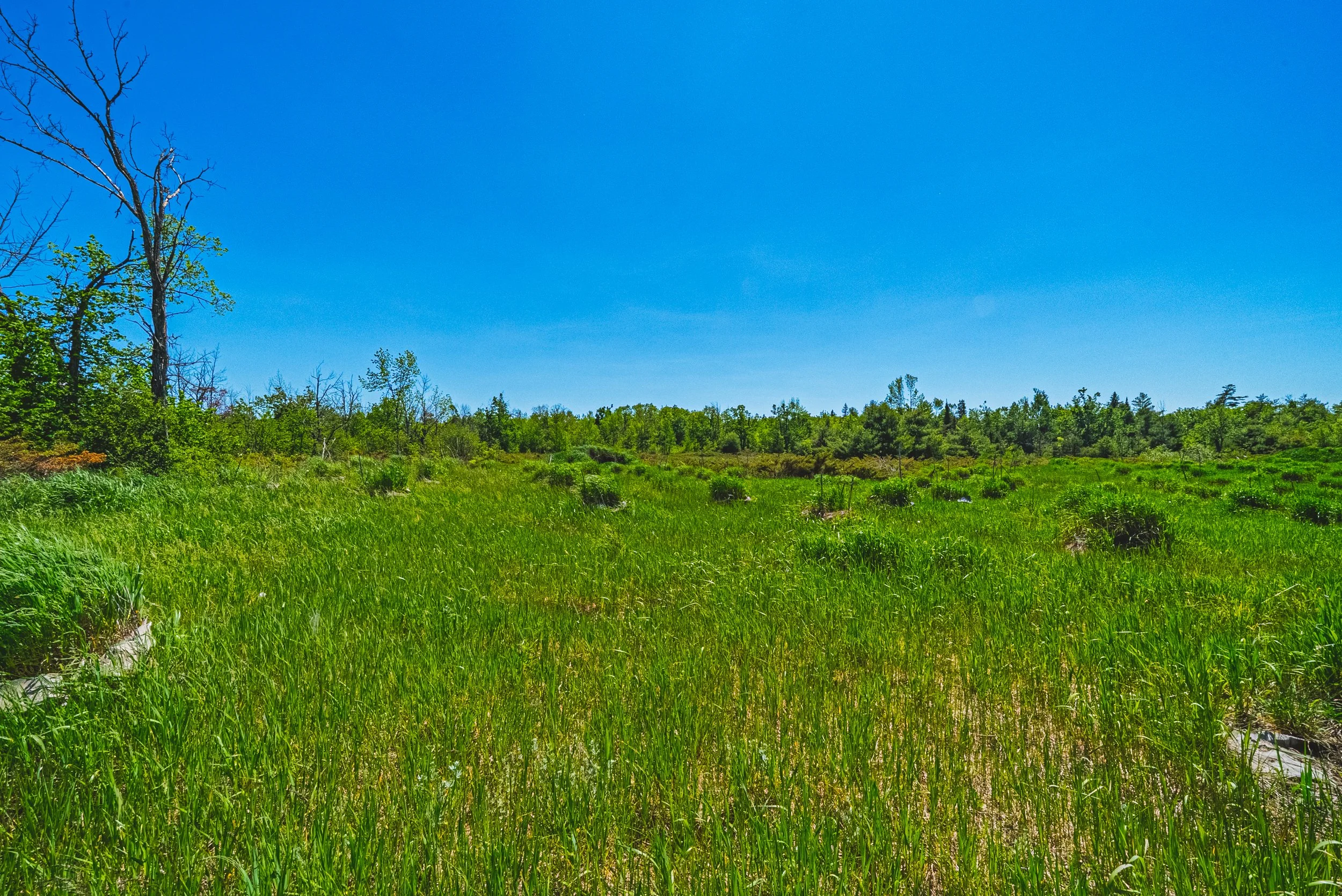 40-215 Laplantes Rd, Trent Lakes.jpg