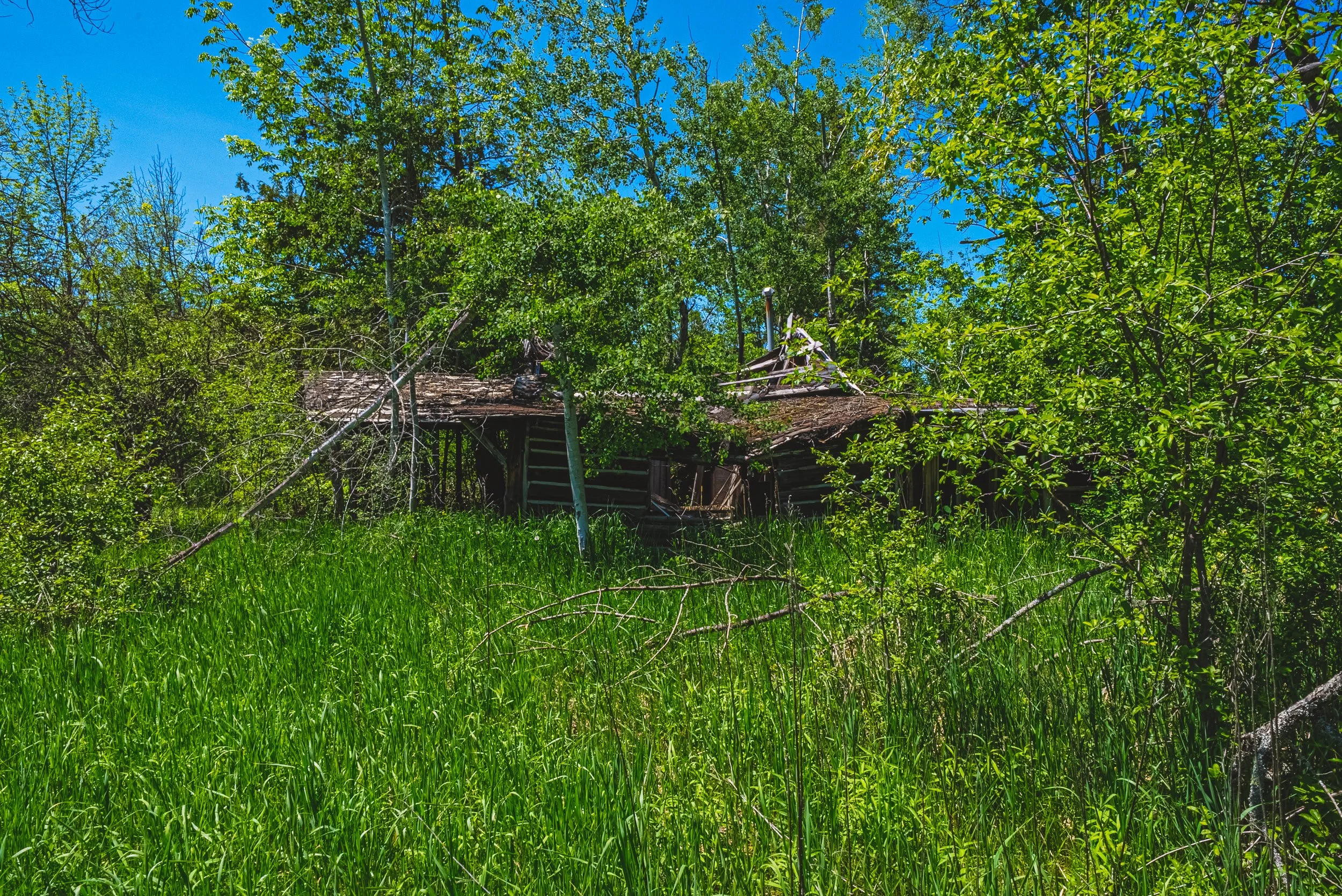 31-215 Laplantes Rd, Trent Lakes.jpg