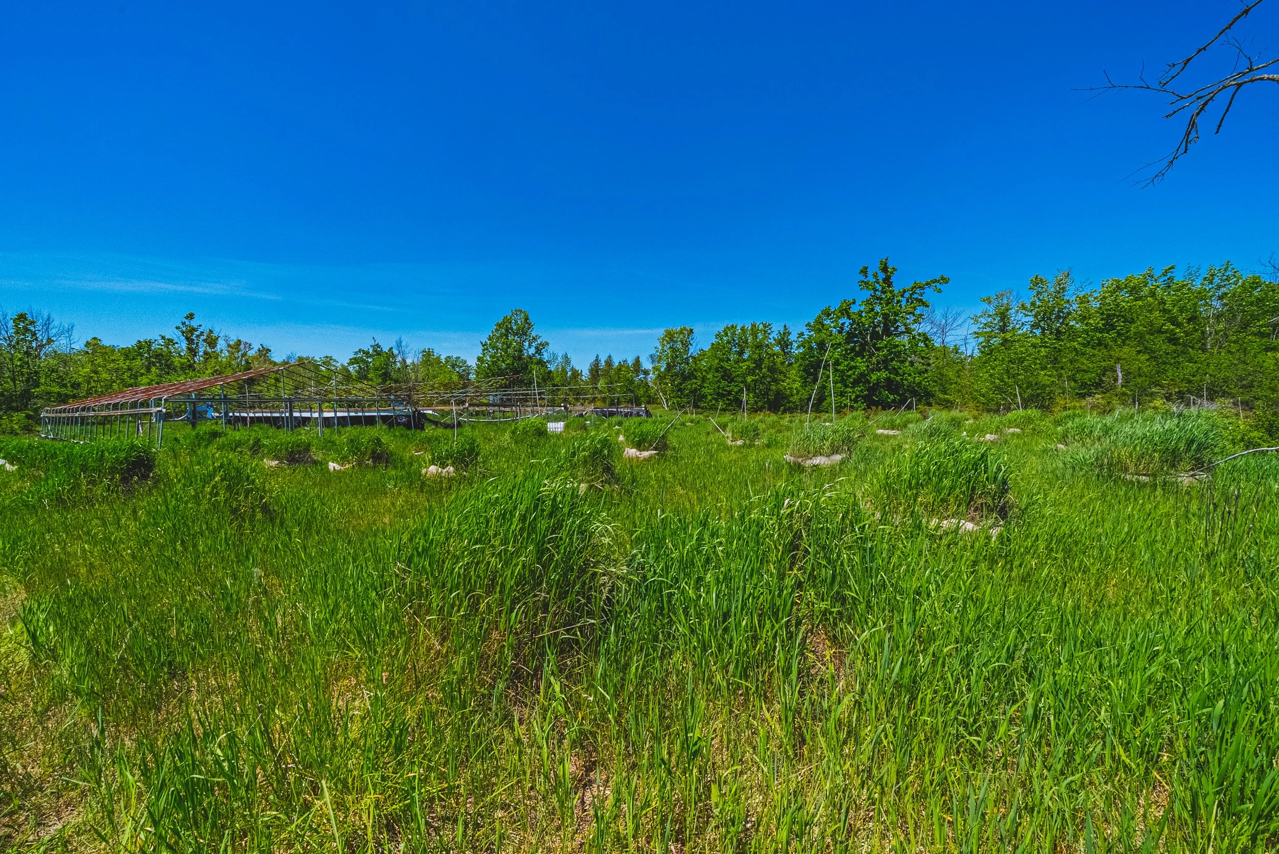 39-215 Laplantes Rd, Trent Lakes.jpg