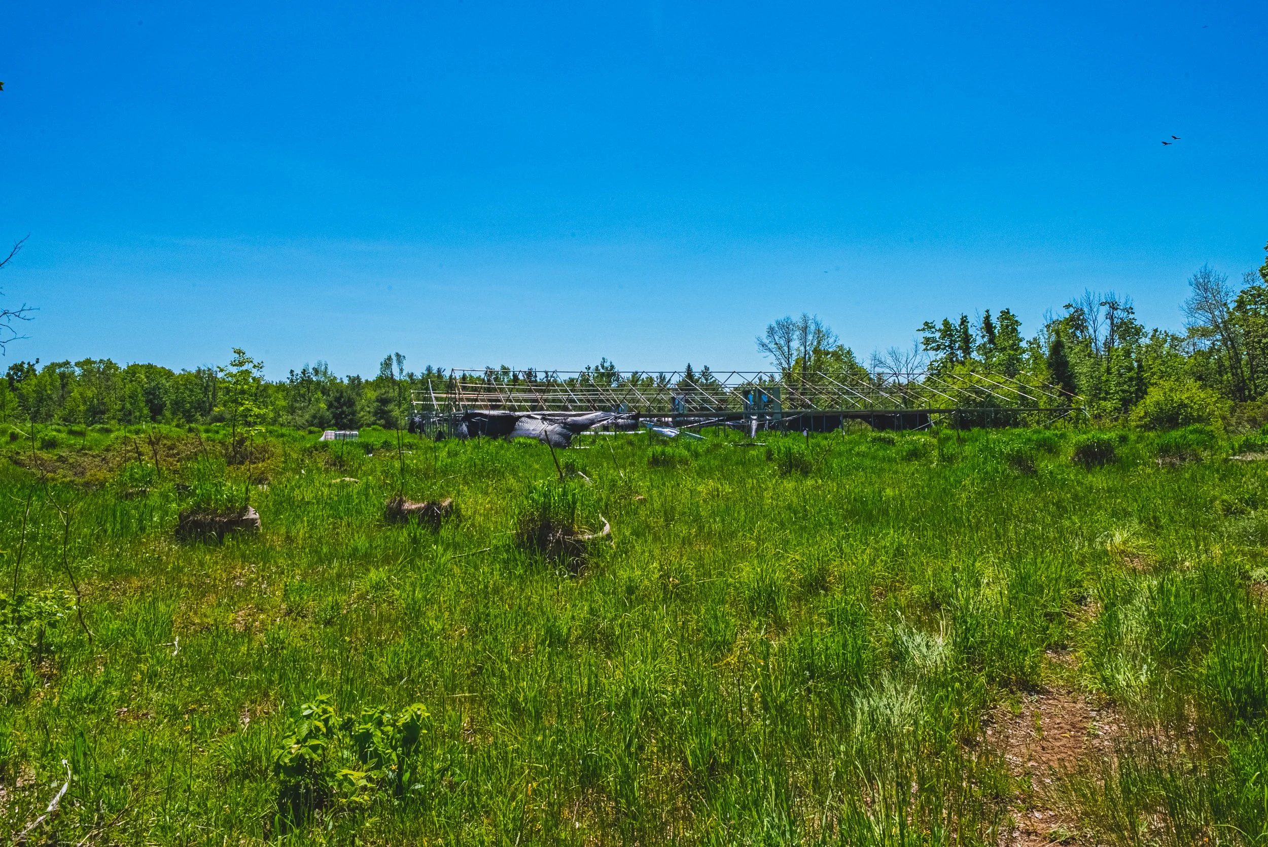 35-215 Laplantes Rd, Trent Lakes.jpg