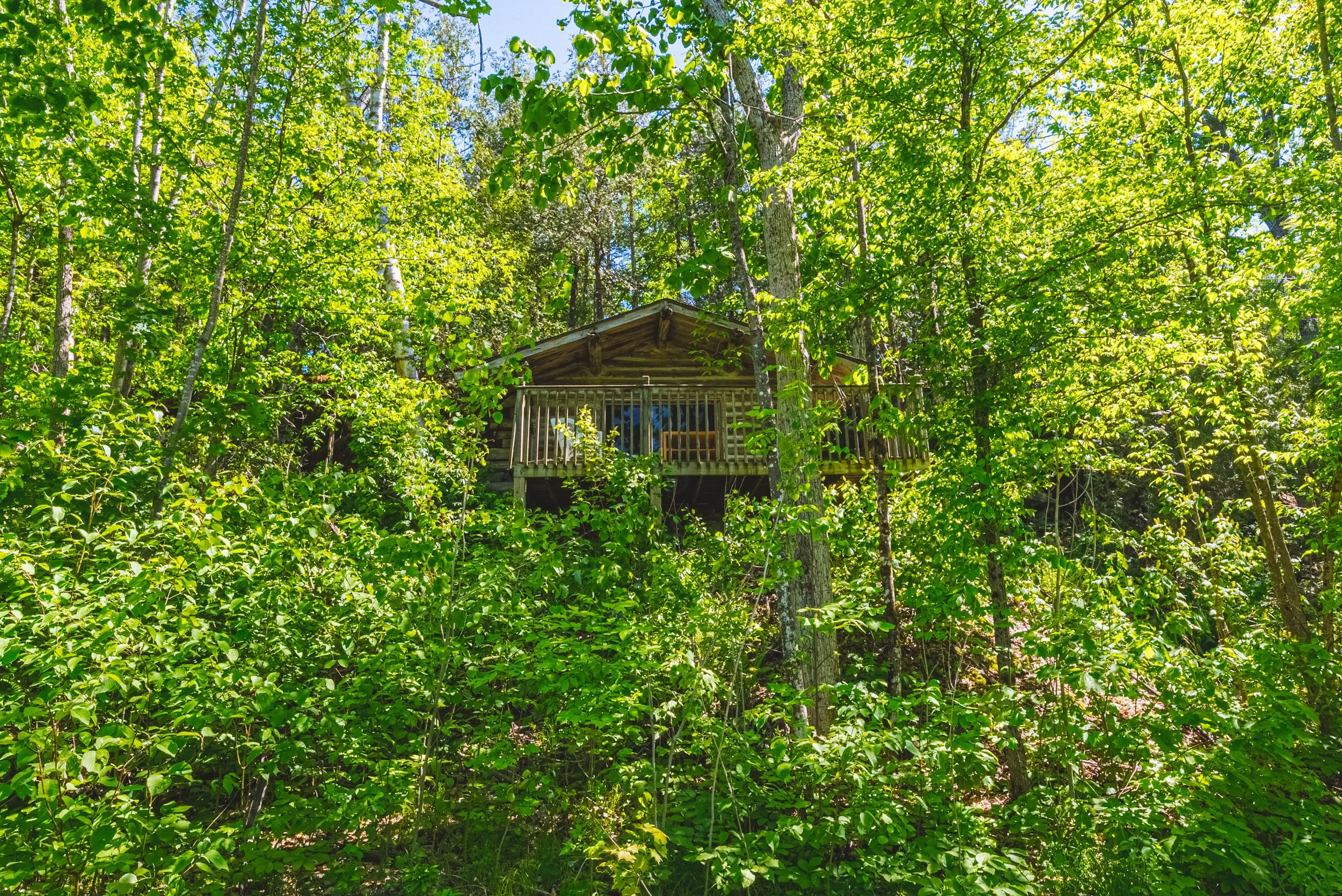 61-215 Laplantes Rd, Trent Lakes.jpg