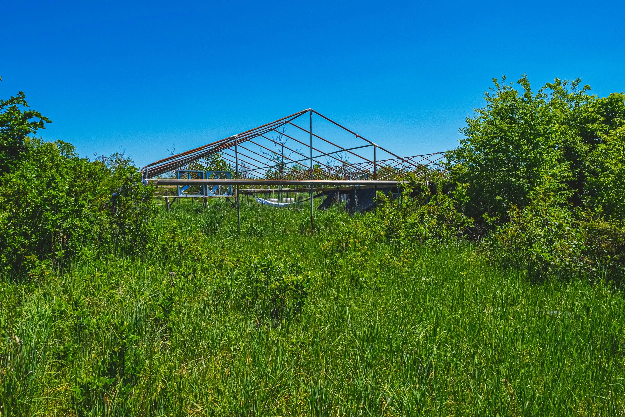 37-215 Laplantes Rd, Trent Lakes.jpg