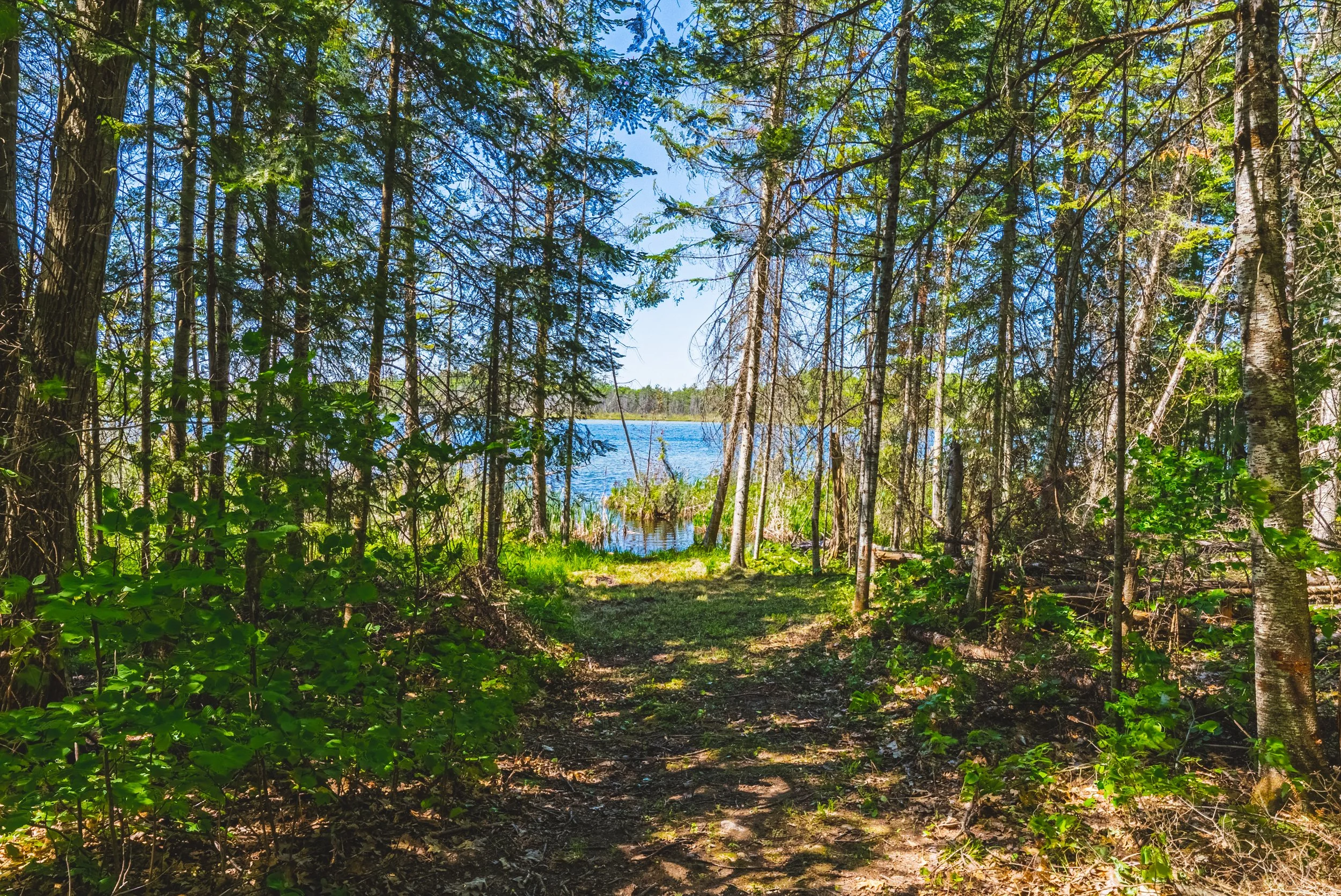 60-215 Laplantes Rd, Trent Lakes.jpg