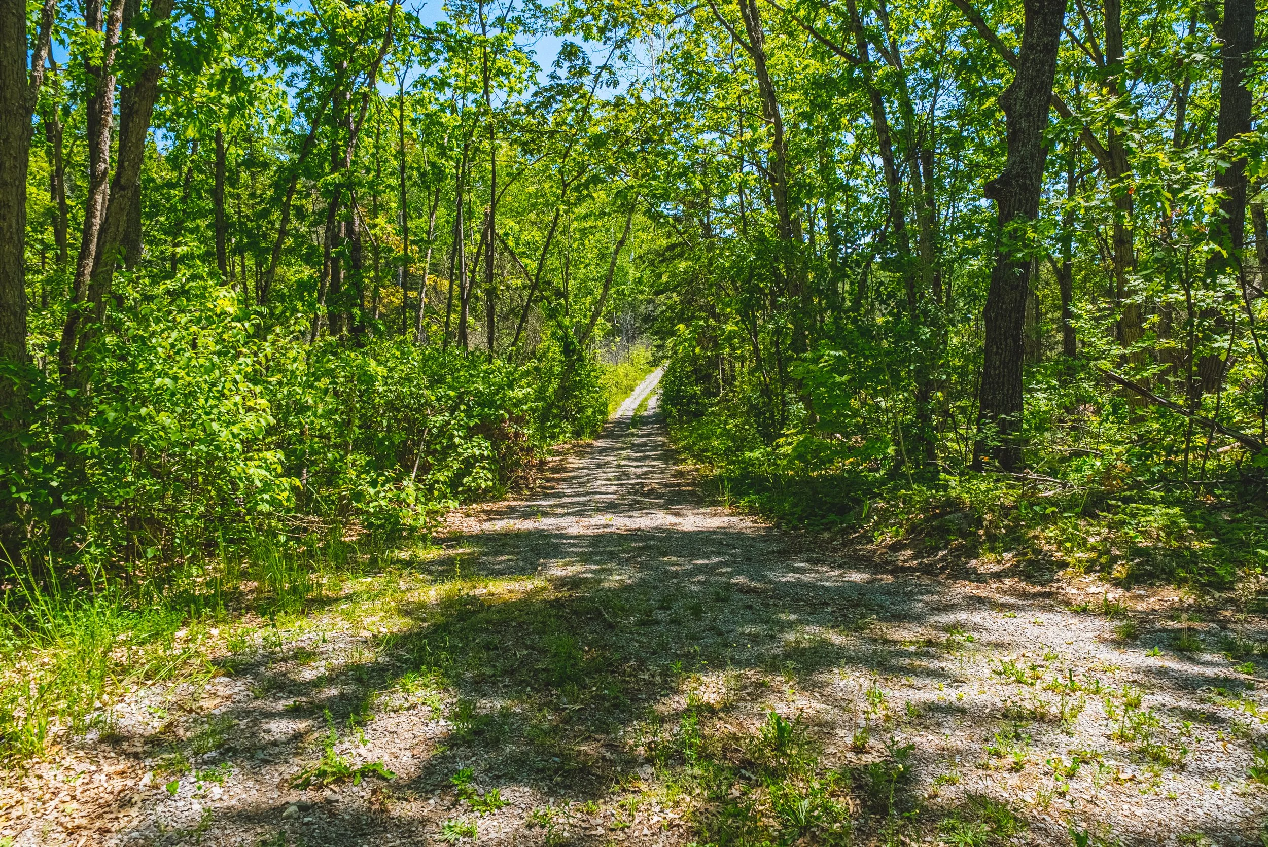 41-215 Laplantes Rd, Trent Lakes.jpg
