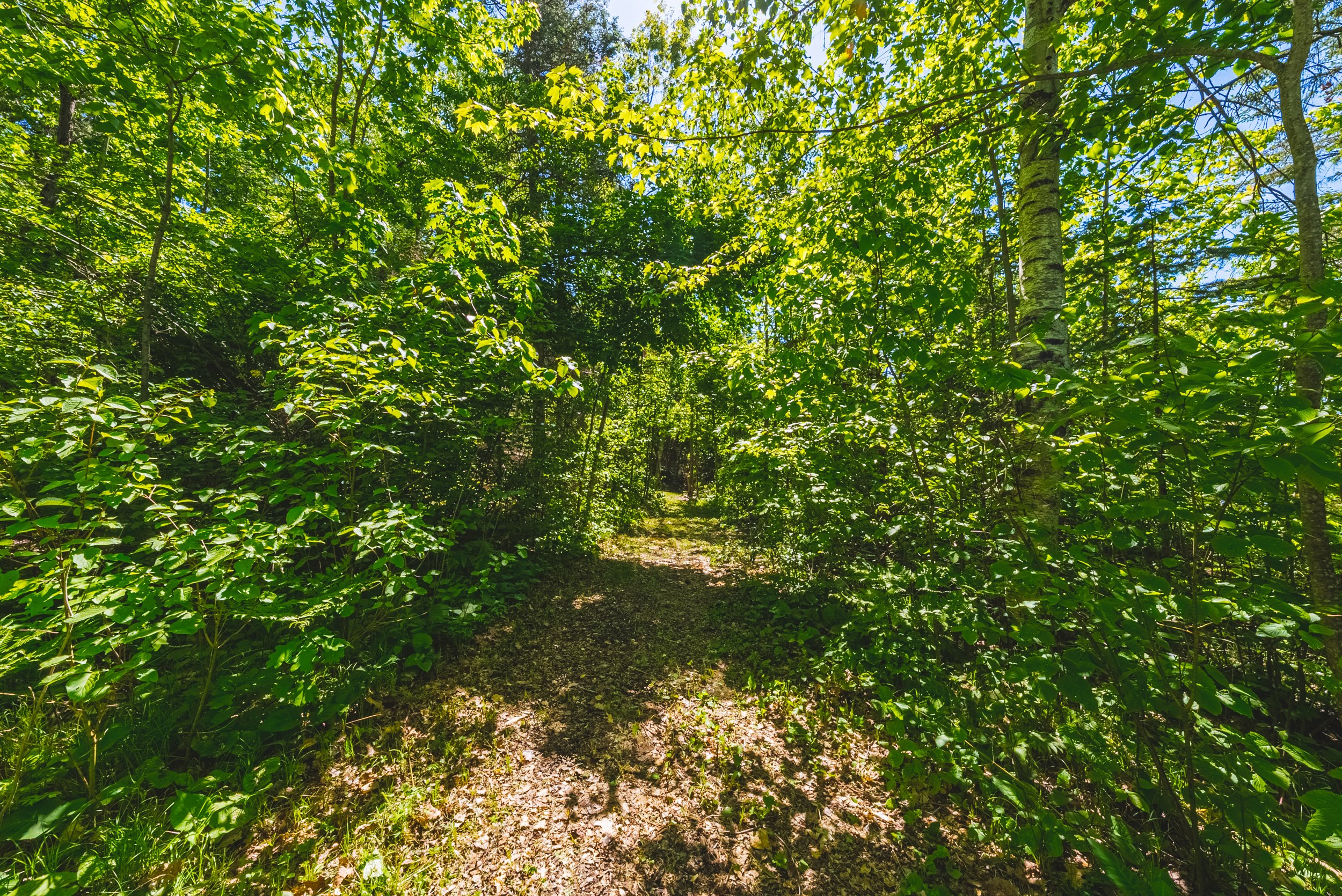 59-215 Laplantes Rd, Trent Lakes.jpg