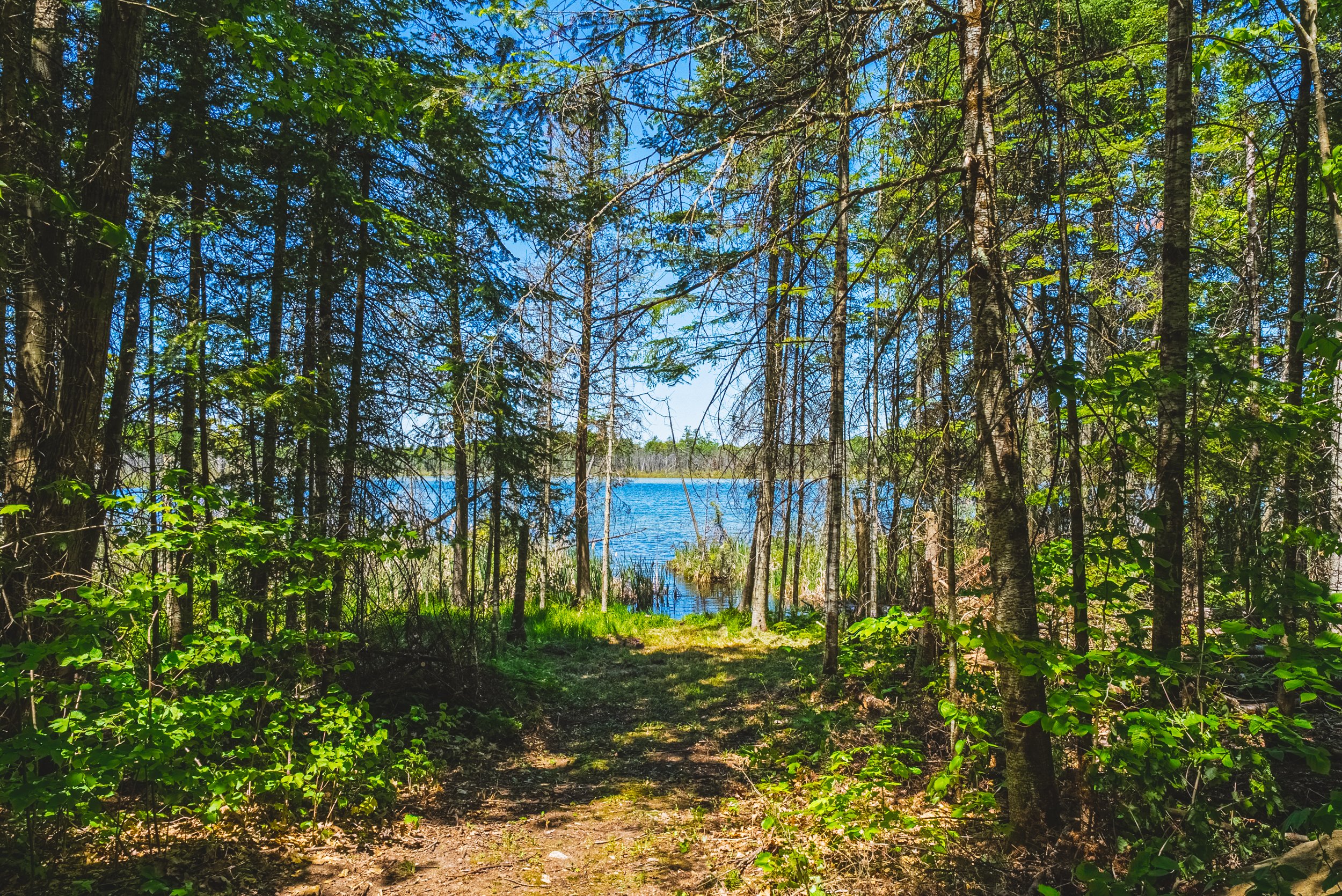 30-215 Laplantes Rd, Trent Lakes.jpg
