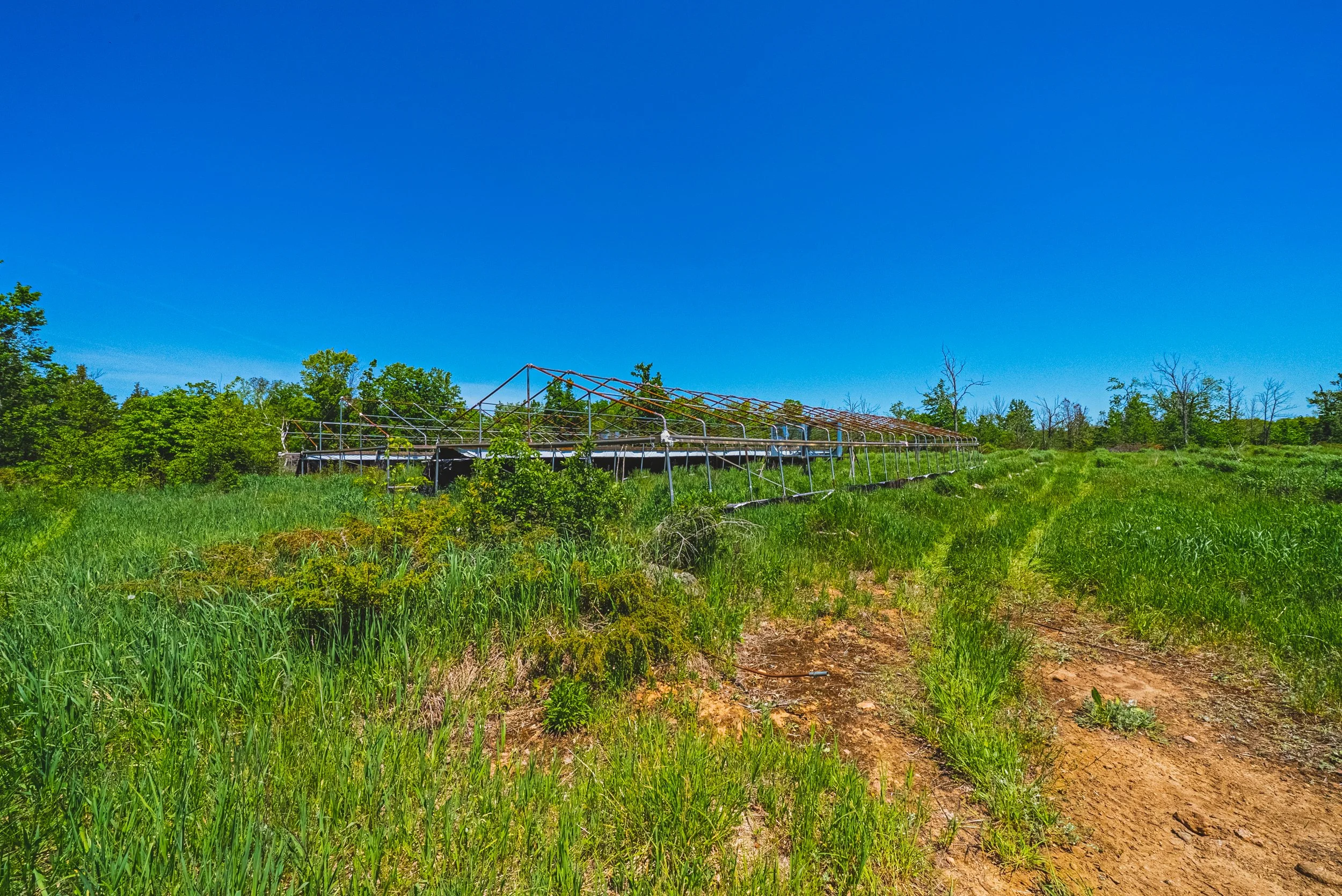 38-215 Laplantes Rd, Trent Lakes.jpg