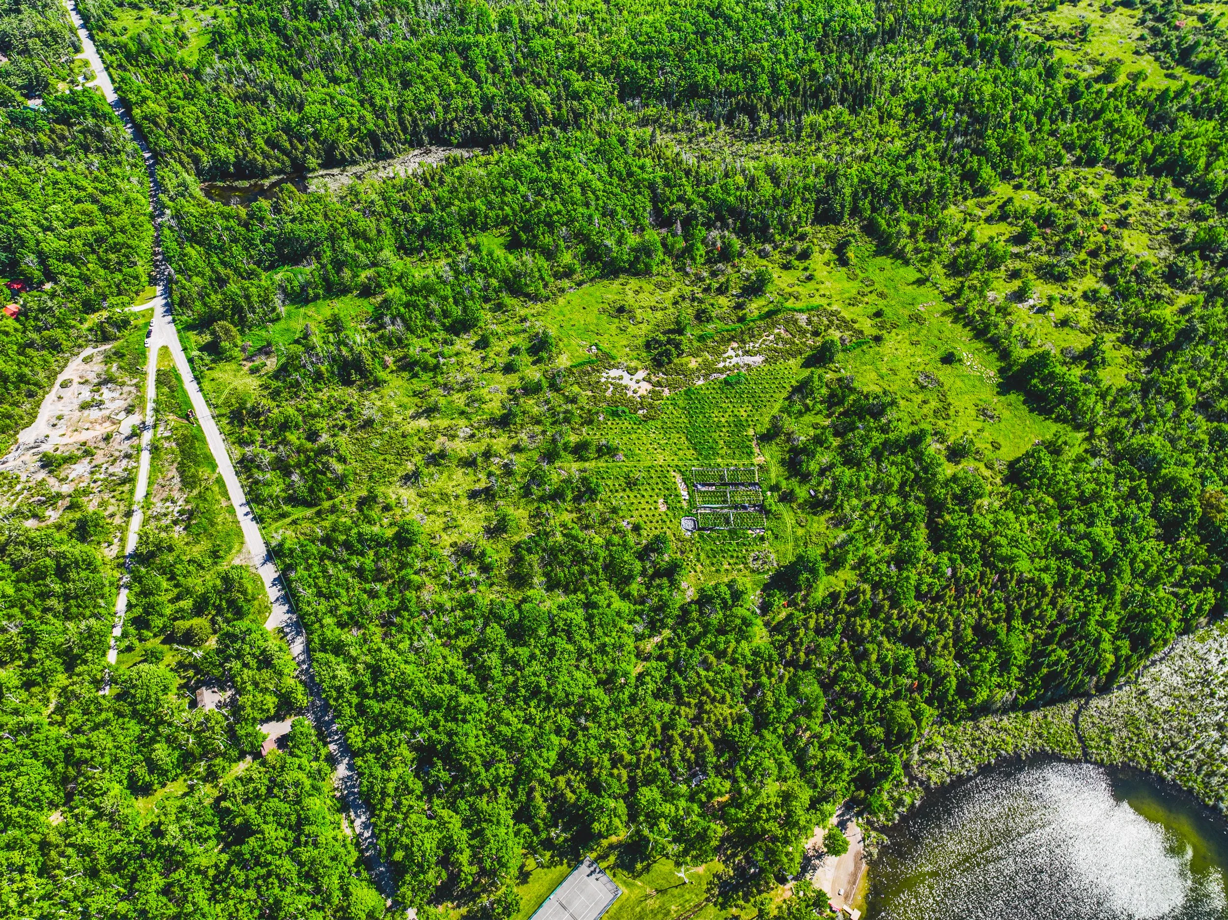 75-215 Laplantes Rd, Trent Lakes.jpg