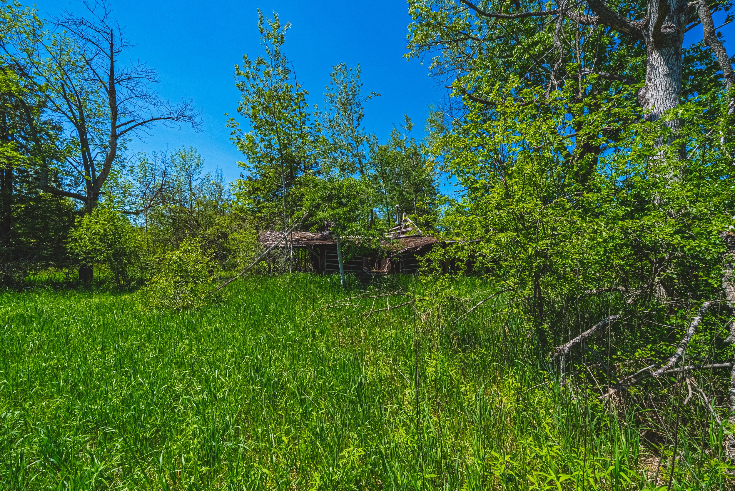 32-215 Laplantes Rd, Trent Lakes.jpg