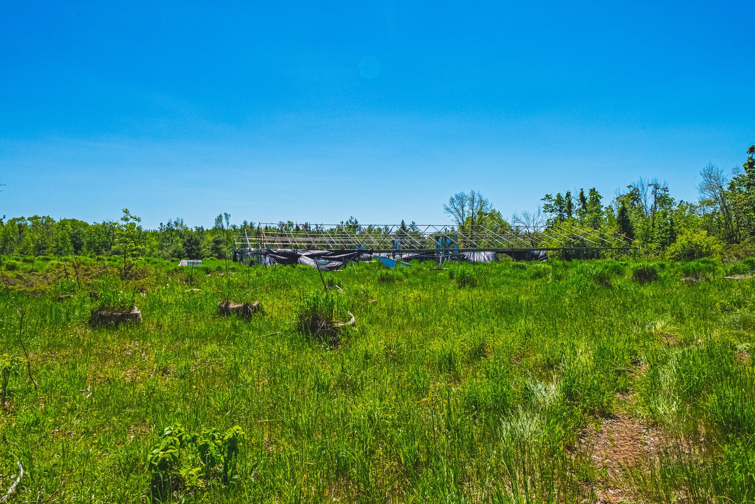 36-215 Laplantes Rd, Trent Lakes.jpg