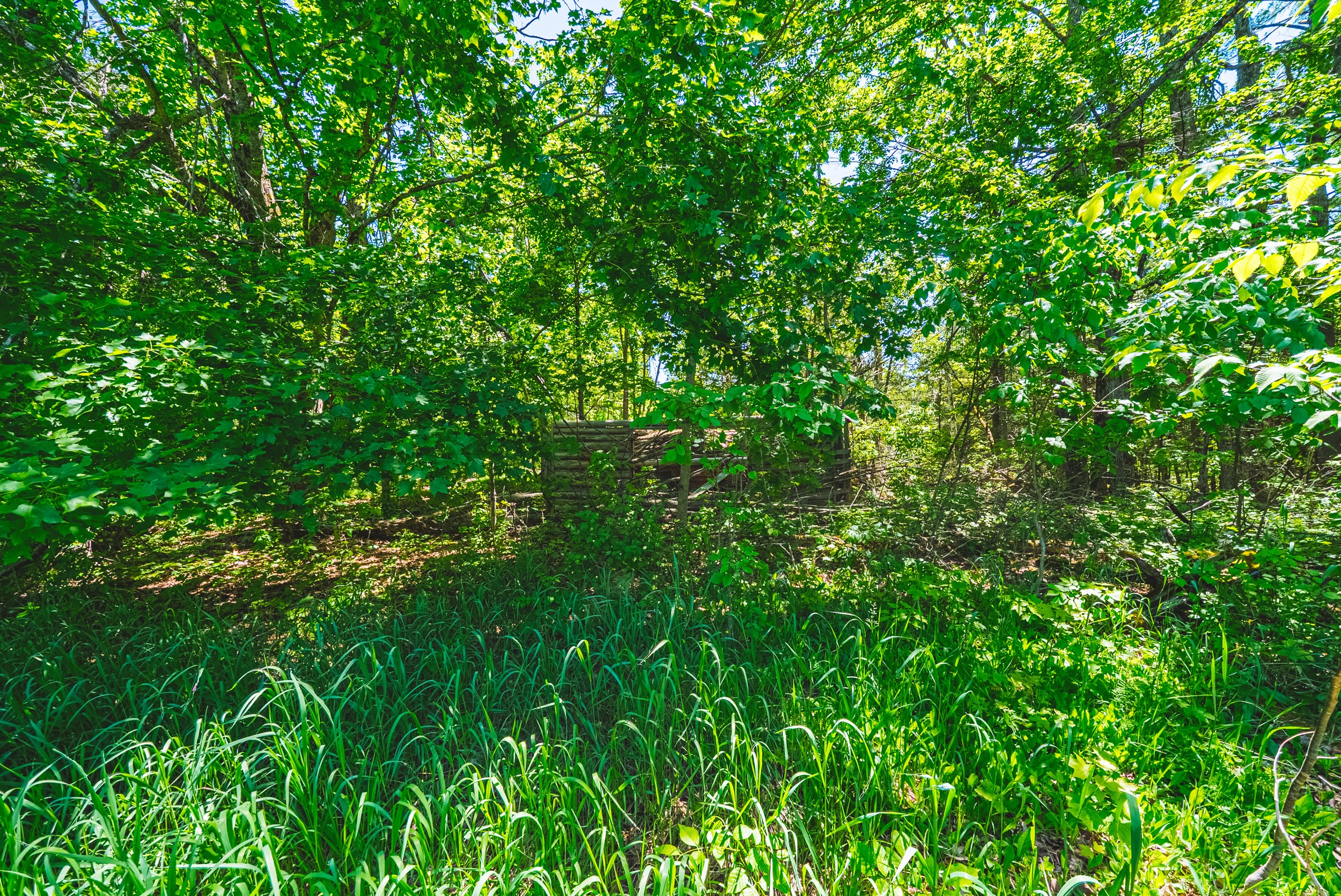 34-215 Laplantes Rd, Trent Lakes.jpg