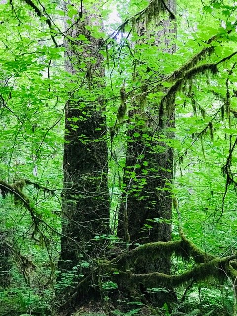 image6.jpeg