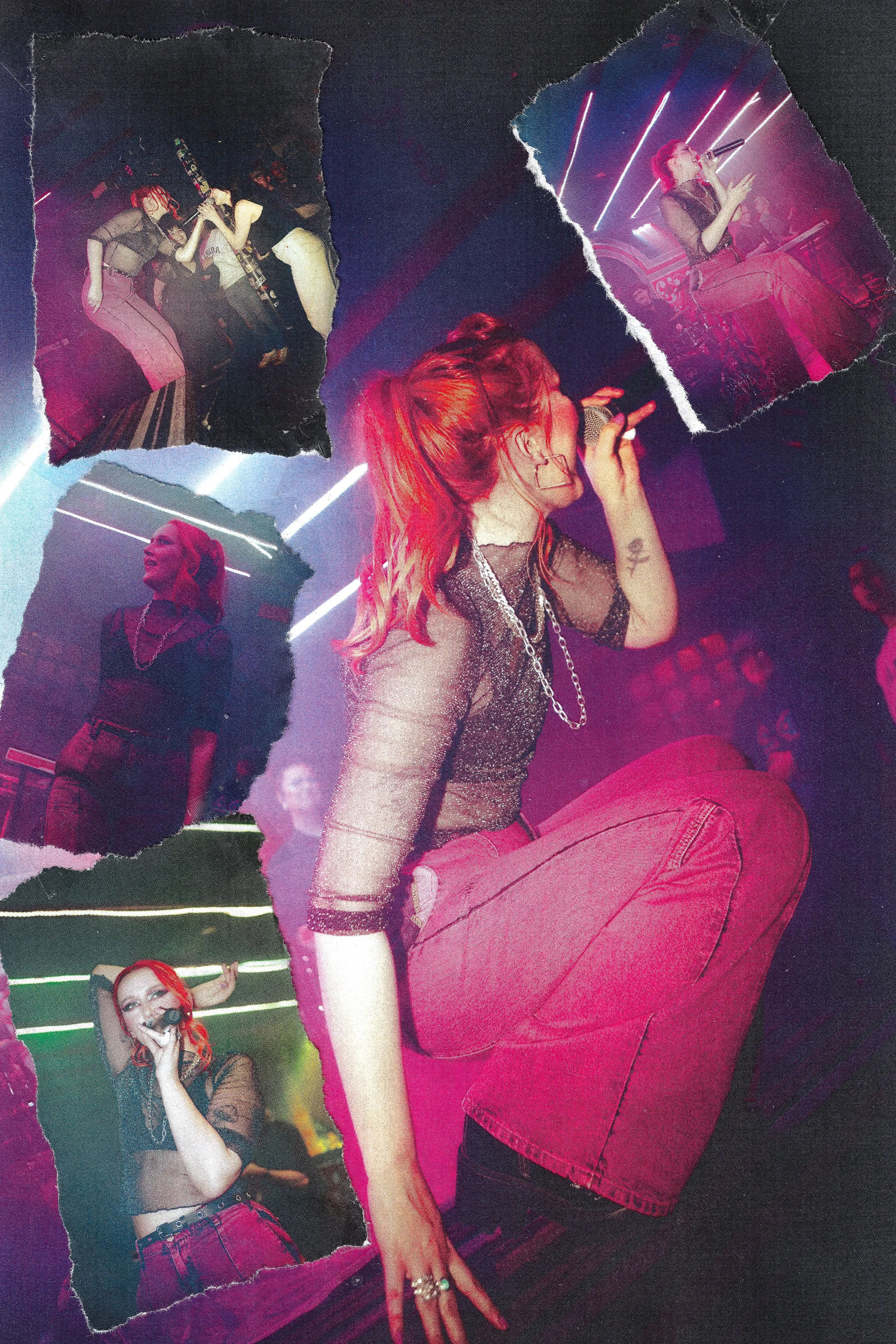 roselle 4 copy.jpg