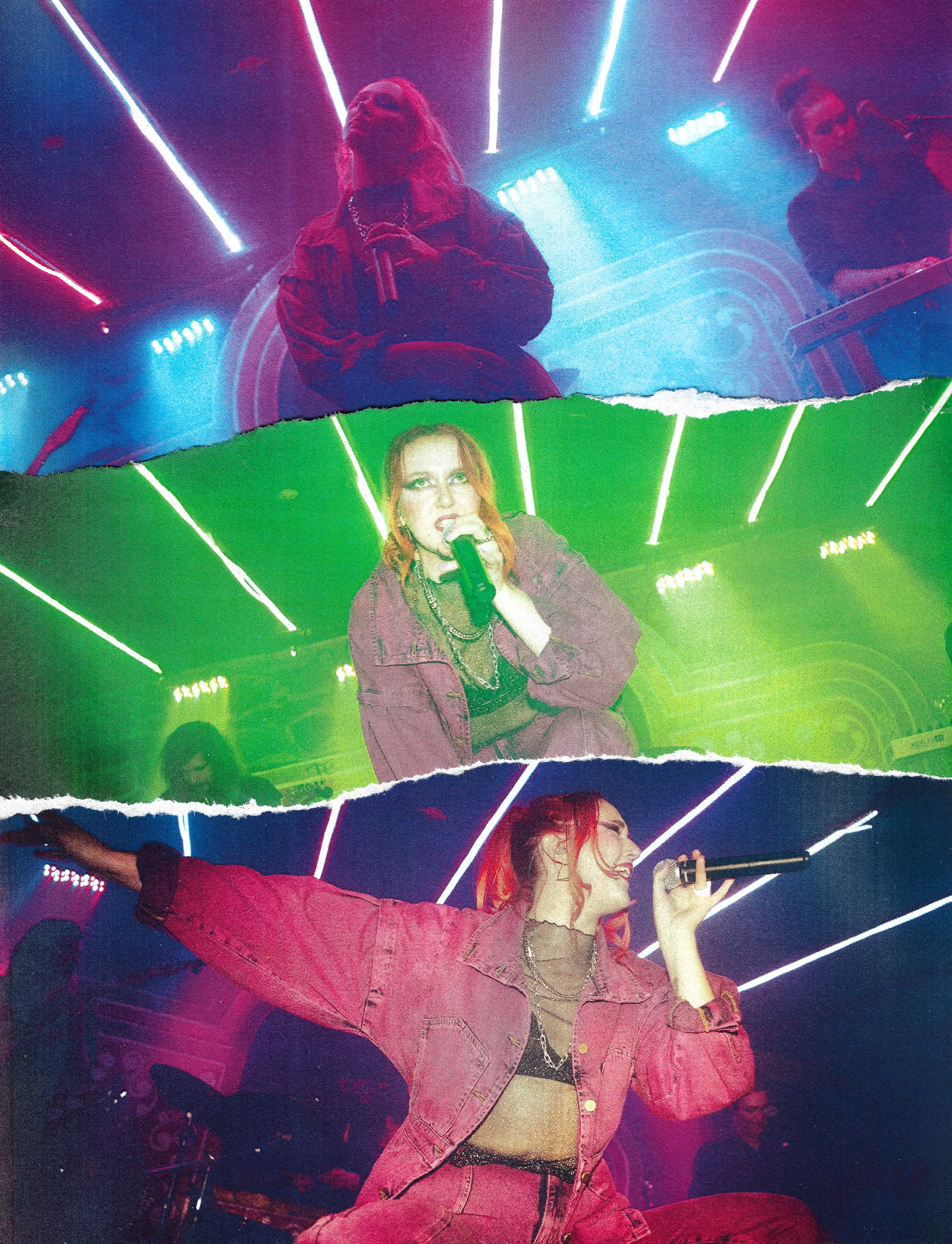 roselle 2 copy.jpg
