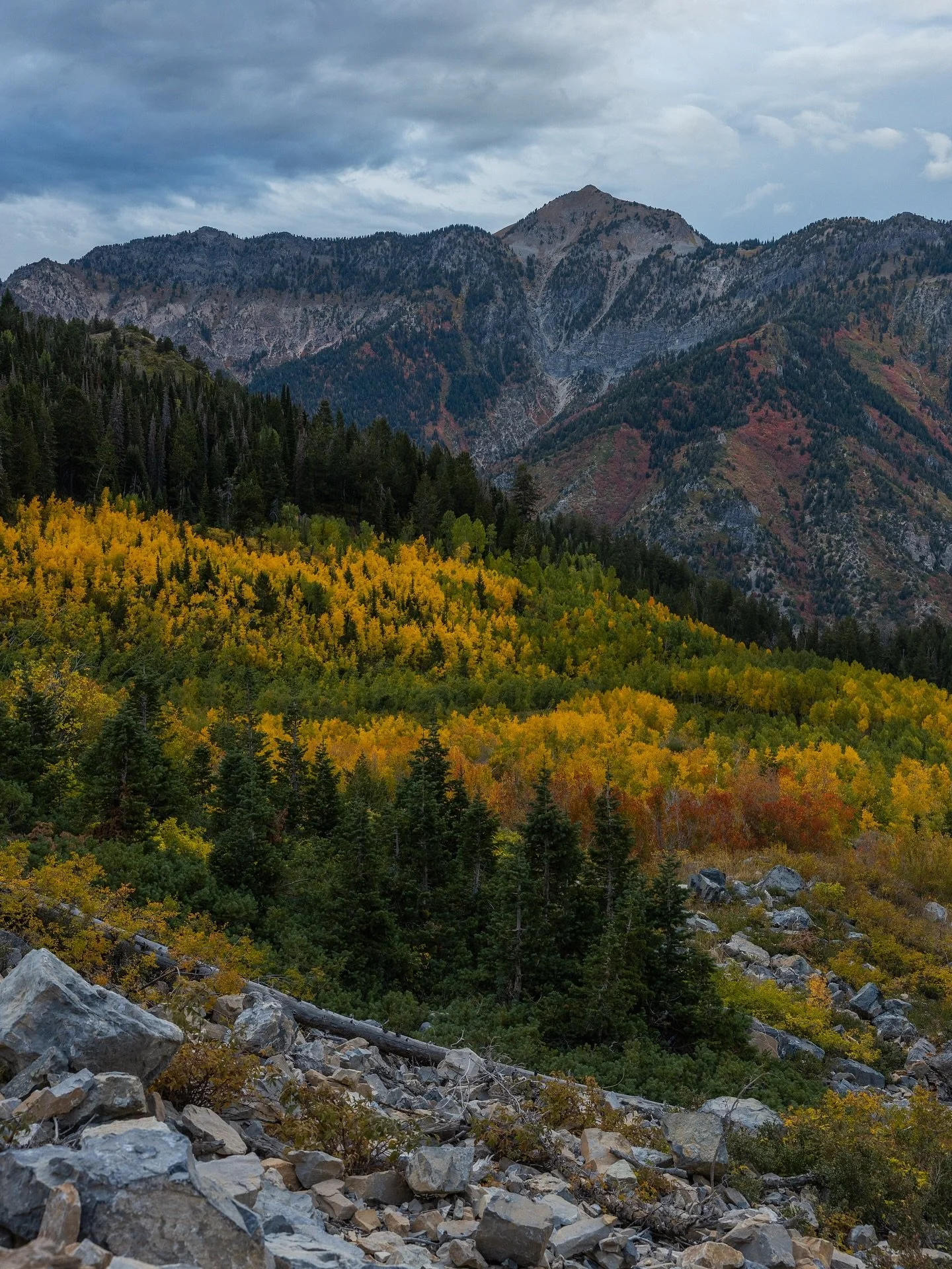 Fall didn&rsquo;t waste anytime showing up this year

#canon @canonusa #landscapephotography #utah