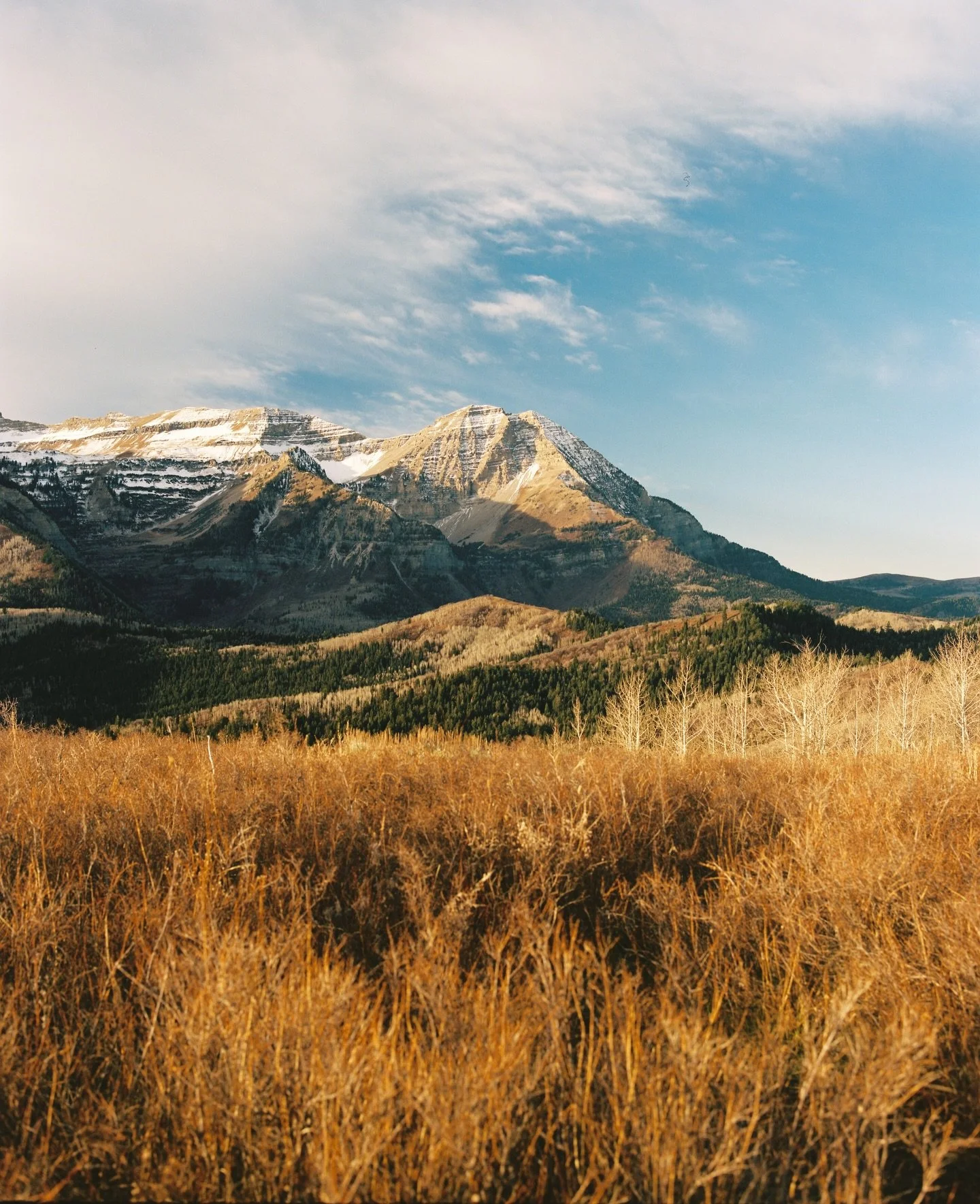 I&rsquo;ll never not love waking up to this view.  This was some film I shot from the last night I spent in the Wasatch before all the trails were closed for the winter.  Well&hellip;&ldquo;winter&rdquo; 😅

🎞️ @kodak Portra 400 120
📸 Mamiya RB67 
