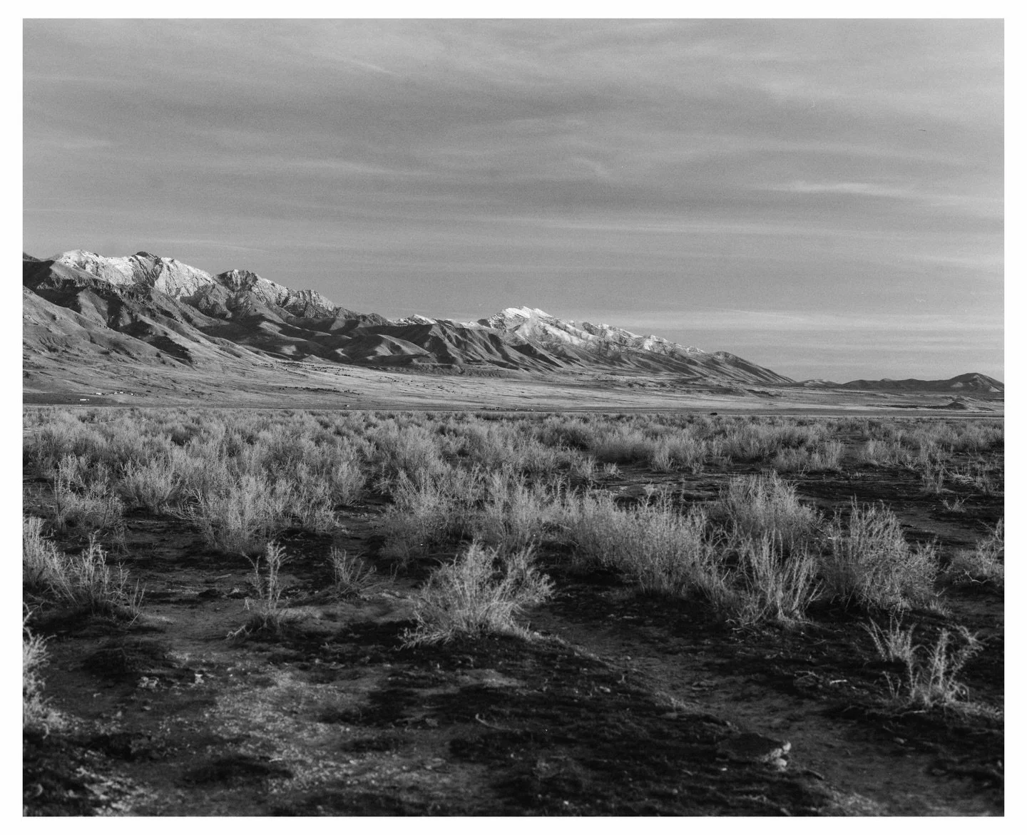Skull Valley on expired Black &amp; White Film

I have a video of this outing on YouTube, it&rsquo;s decent if you&rsquo;re interested haha

🎞️ expired @ilfordphoto Delta 400 120
📸 Mamiya RB67
🧪 @filmcultlab 

#ilford #filmisnotdead #analog