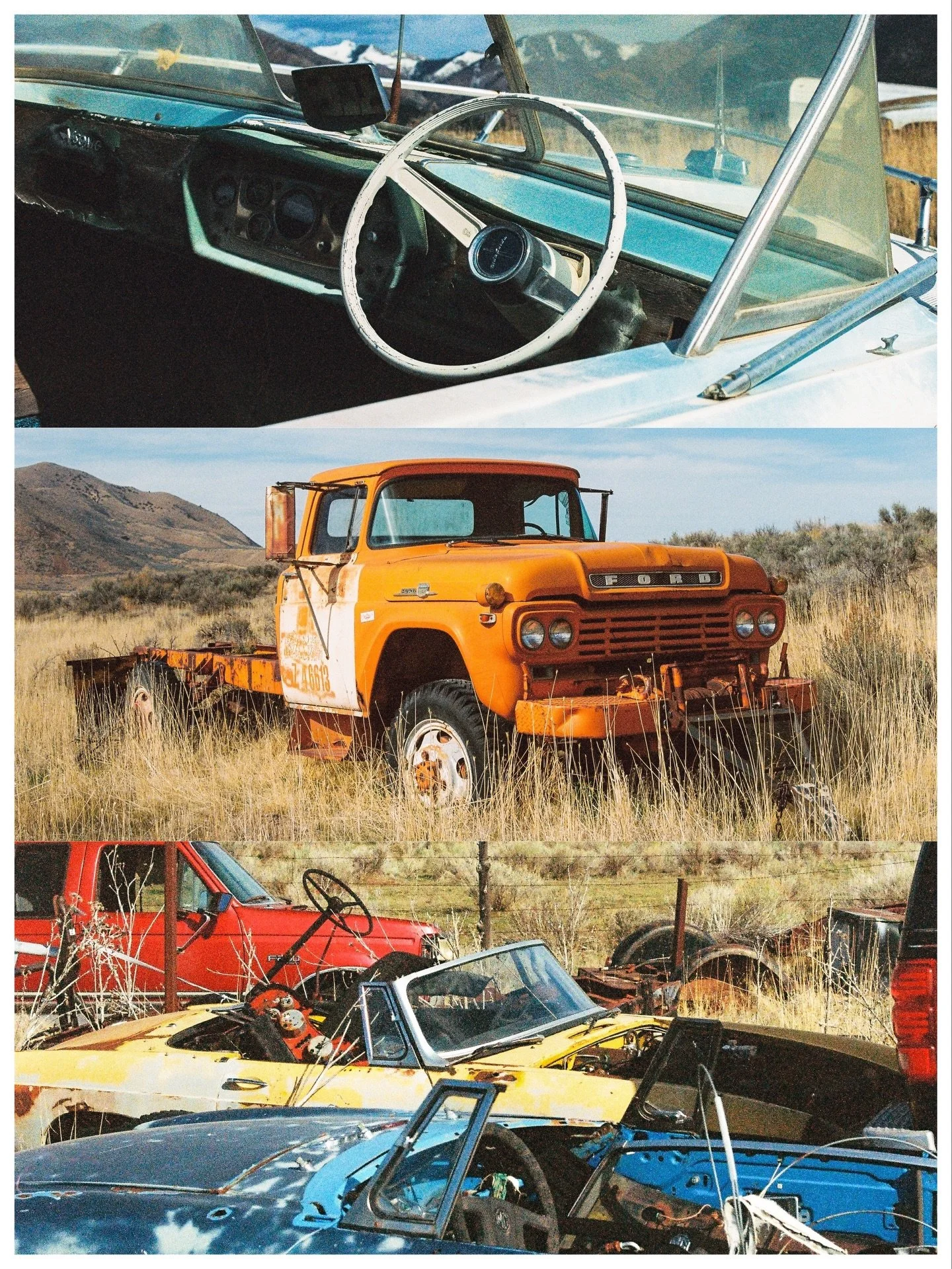 Colorful, abandoned stuff I found in the desert, on 35mm film 🎞️ 

🎞️ @kodak Portra 800 35mm
📸 @canon Elan 
🧪 @filmcultlab 

#filmisnotdead #kodak @kodakprofessional
